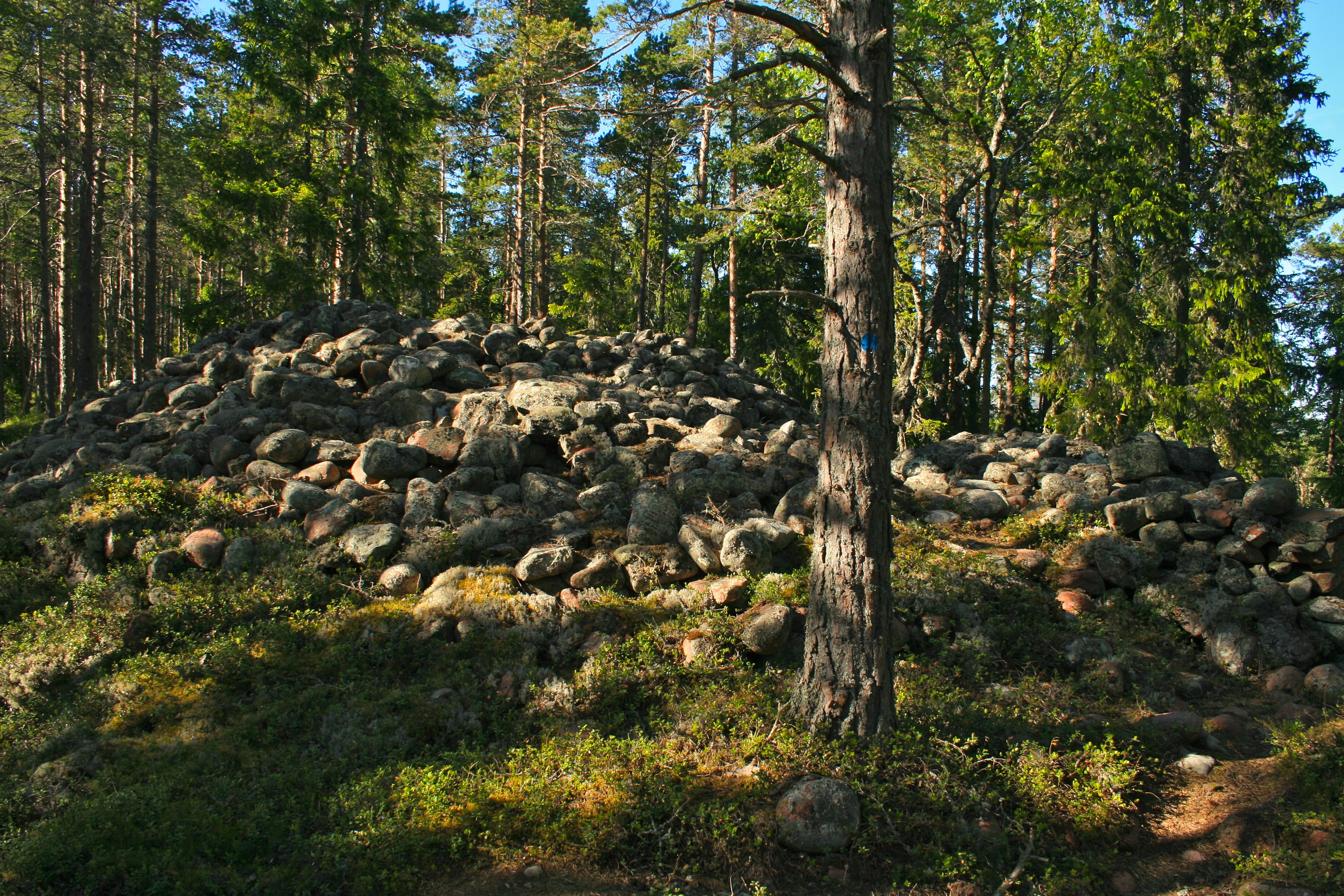 Stone cairn surrounded by tall pine trees and grassy ground in a forested area
