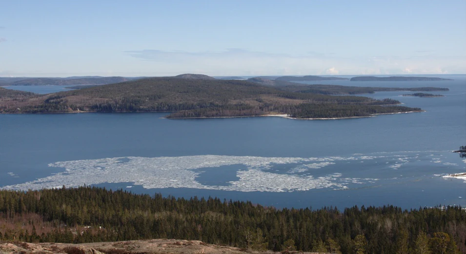 Panoramic view of the Baltic Sea with ice floes, distant islands, and a forested foreground under a clear blue sky