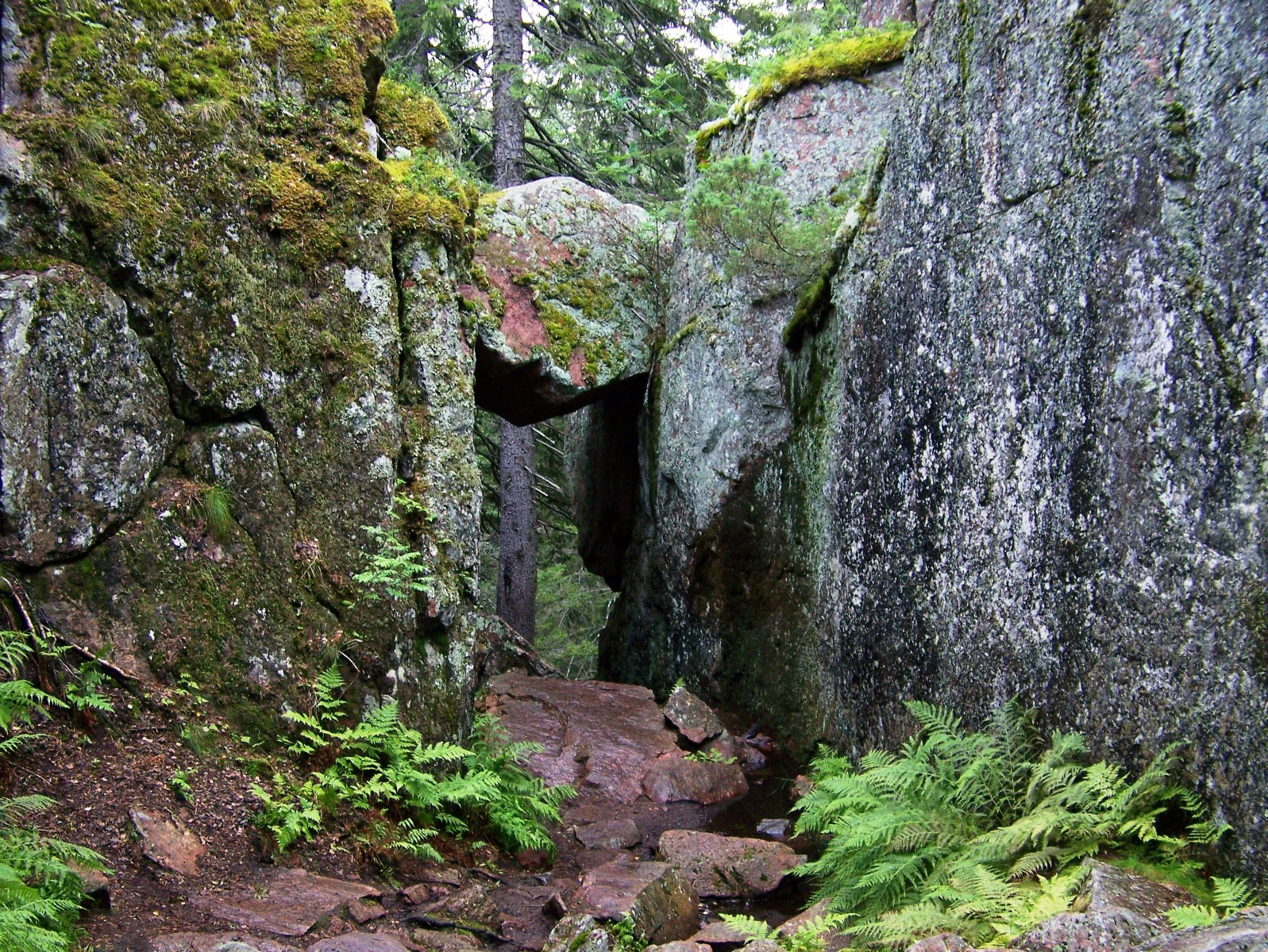Stone corridor formed by large moss-covered rocks with ferns and a rocky path leading through