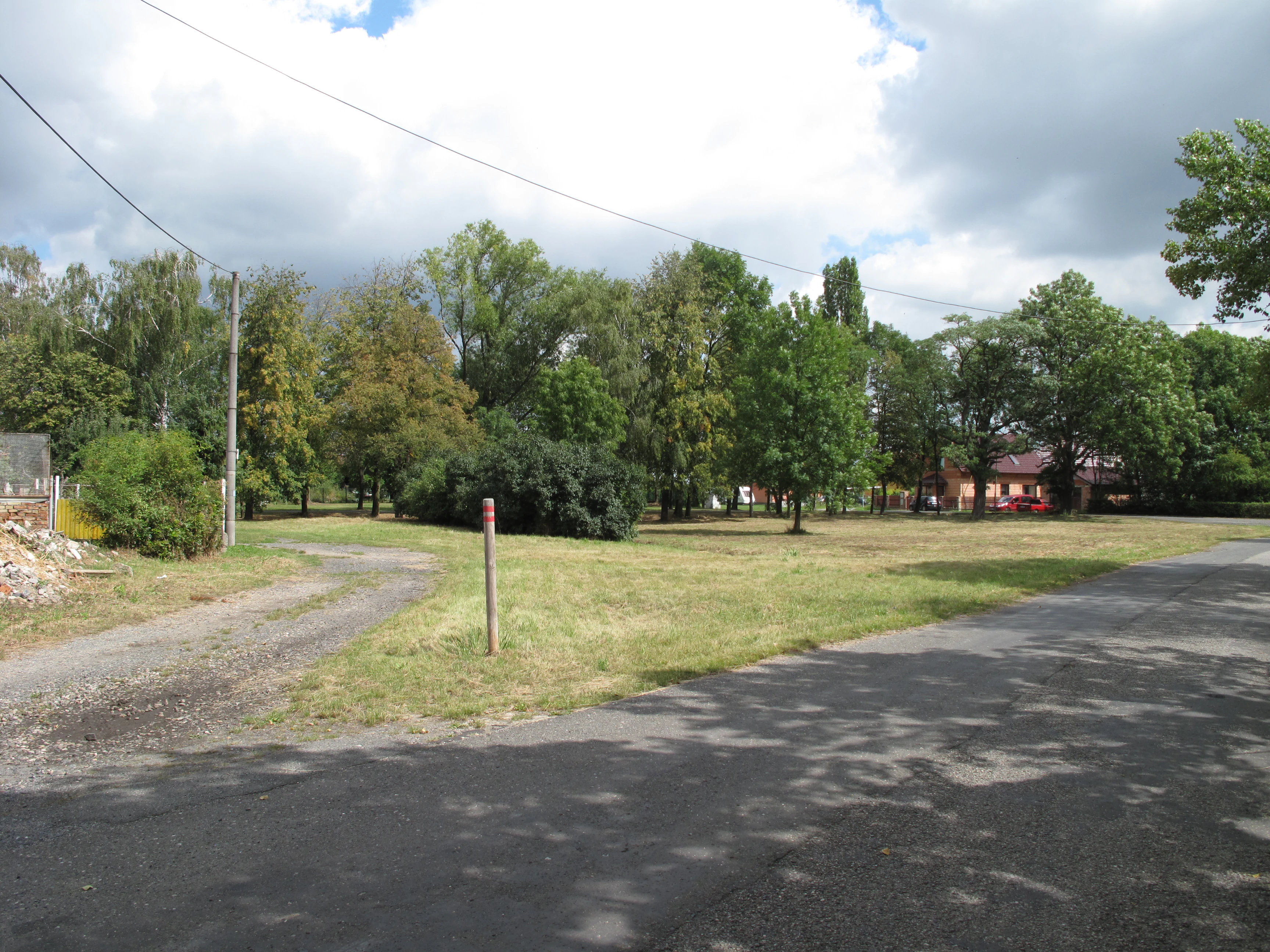 A grassy field with scattered trees and a paved road leading into the scene, under a cloudy sky.