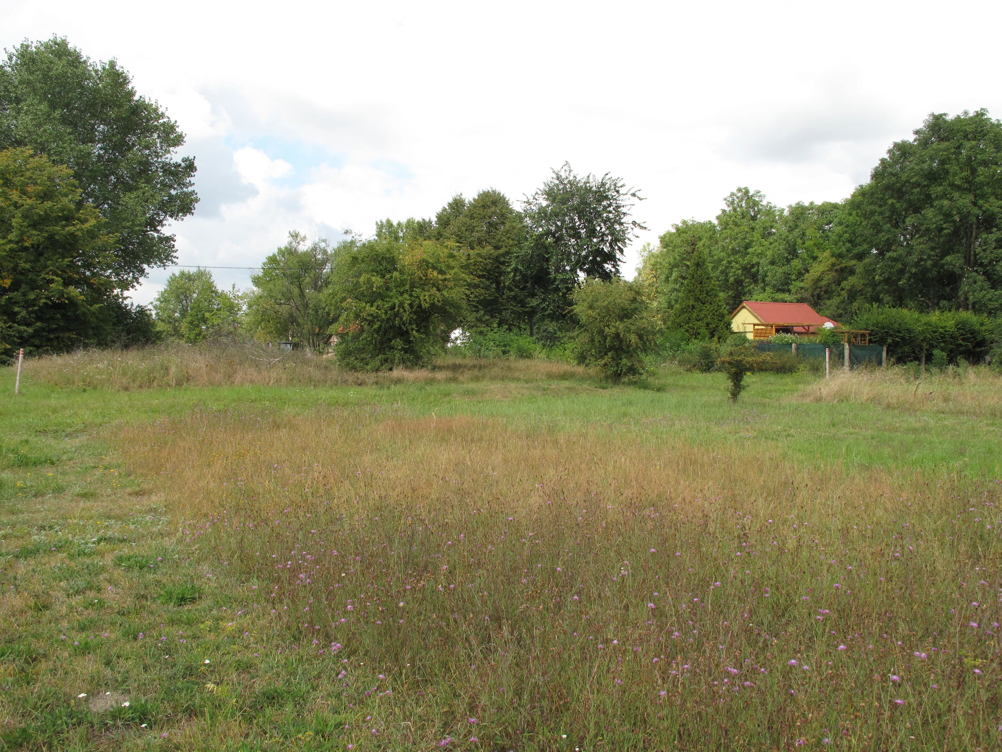 A meadow with patches of tall dry grass and wildflowers under a cloudy sky, with trees and a small building with a red roof in the background.