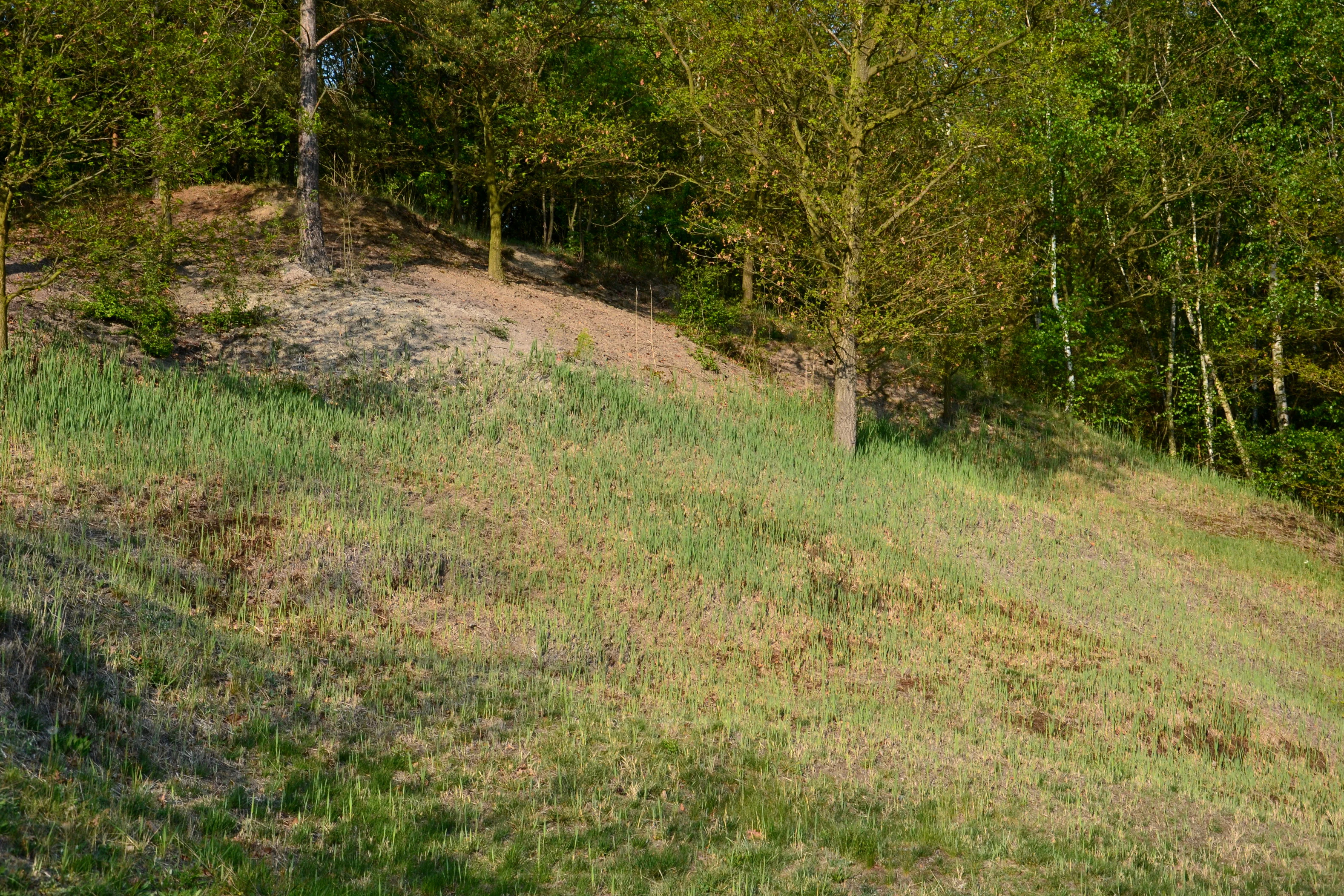 Slanisko u Skrle landscape