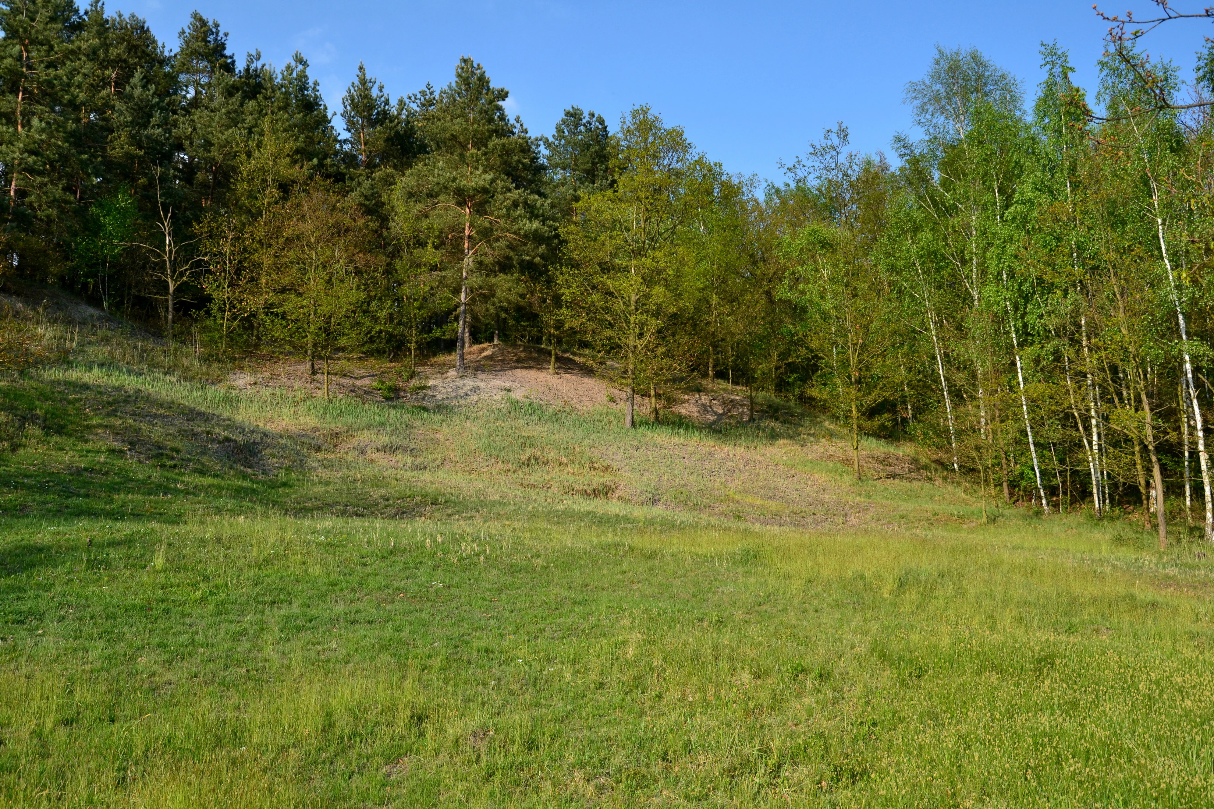 Slanisko u Skrle nature monument