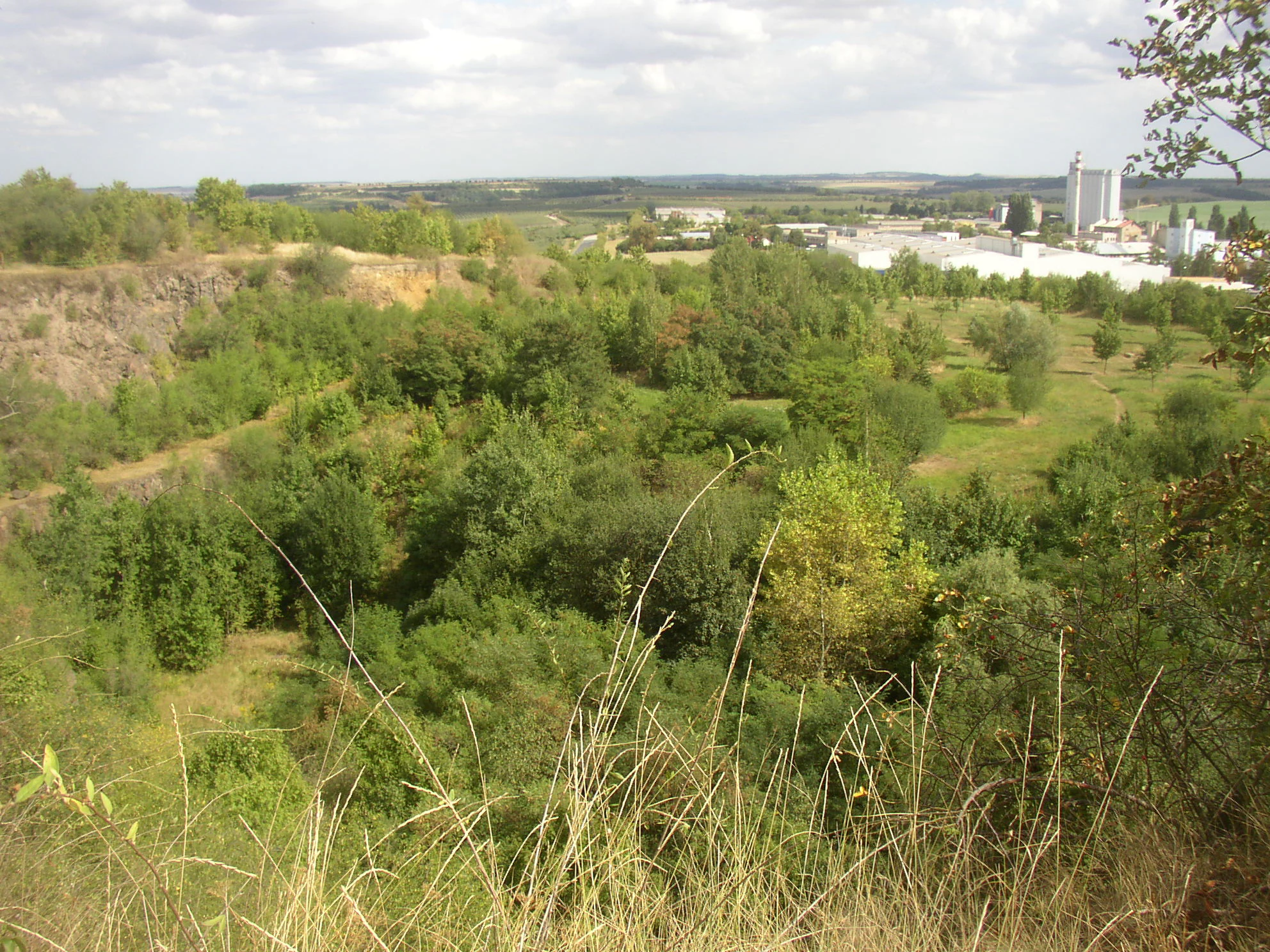 An elevated landscape view looking down into a green valley containing a former quarry, with industrial buildings visible on the horizon.