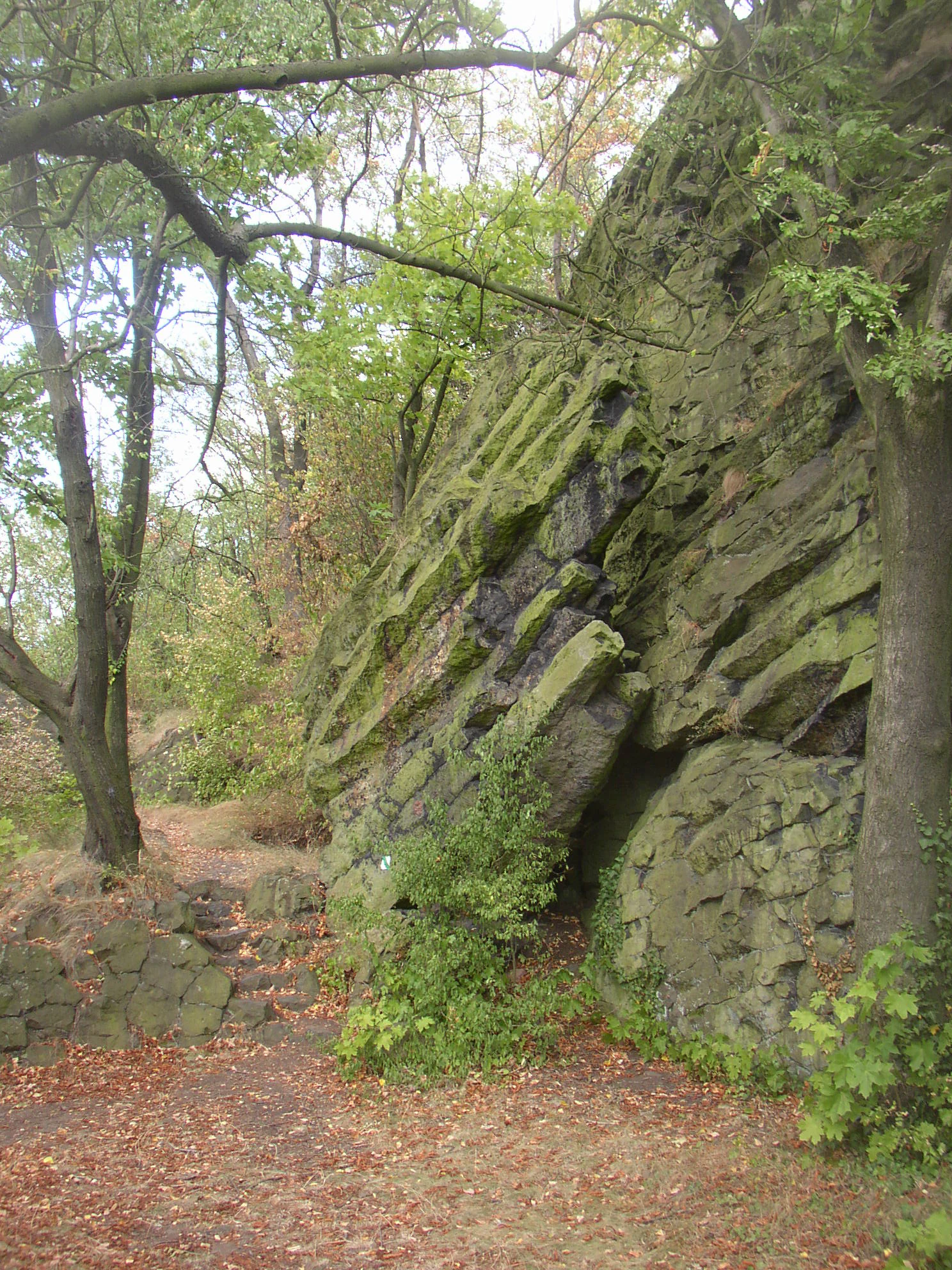 A steep, mossy rock face displaying prominent diagonal basalt columns, surrounded by trees on a forest path.
