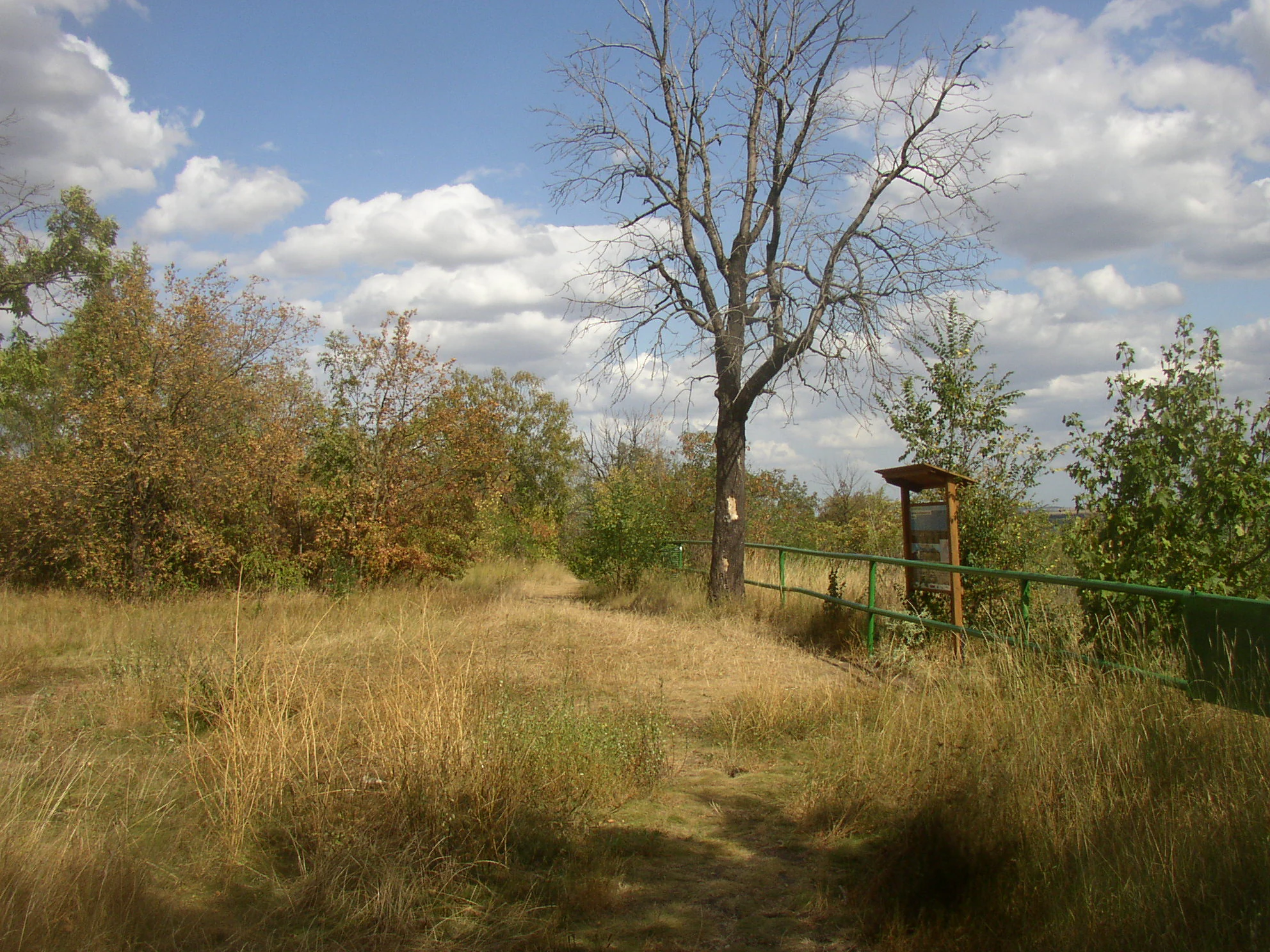An educational trail sign standing beside a metal railing along a grassy path with a large, leafless tree in the background.