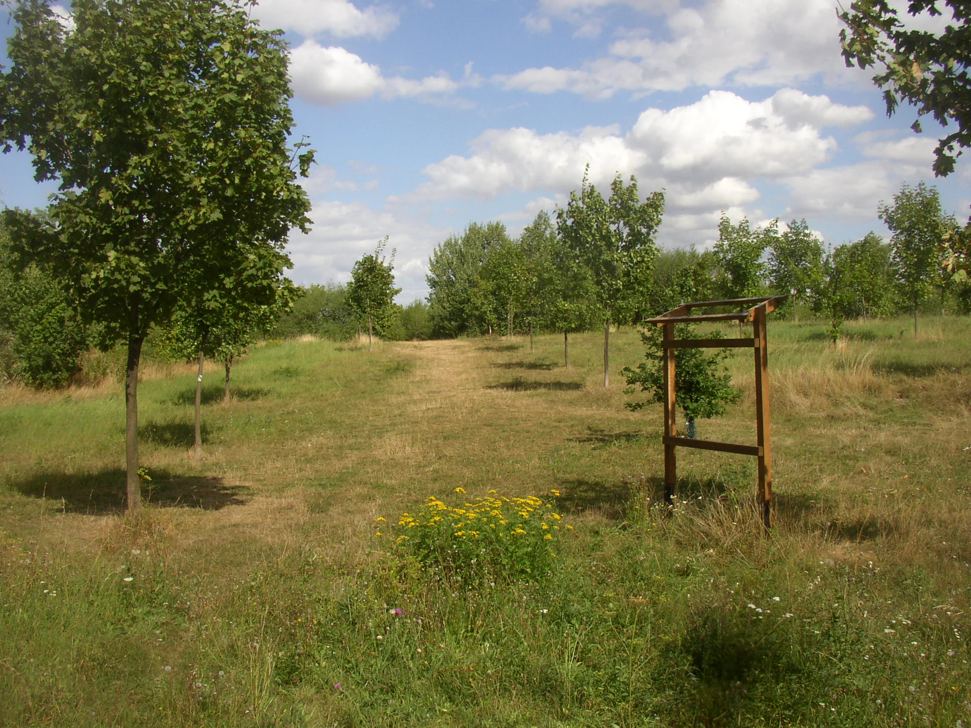 A dirt path through a grassy, reclaimed landscape with small trees and a wooden information sign frame on the right.