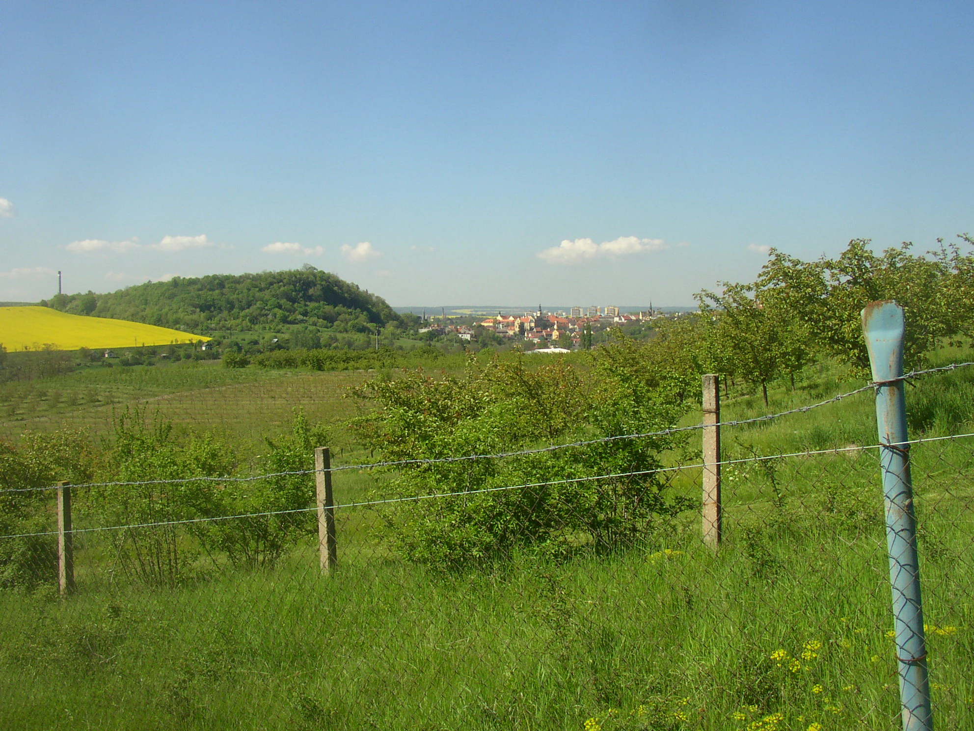 A wide shot looking across a grassy field with a fence in the foreground, toward a green hill under a clear blue sky, with the town of Slaný visible in the distance.