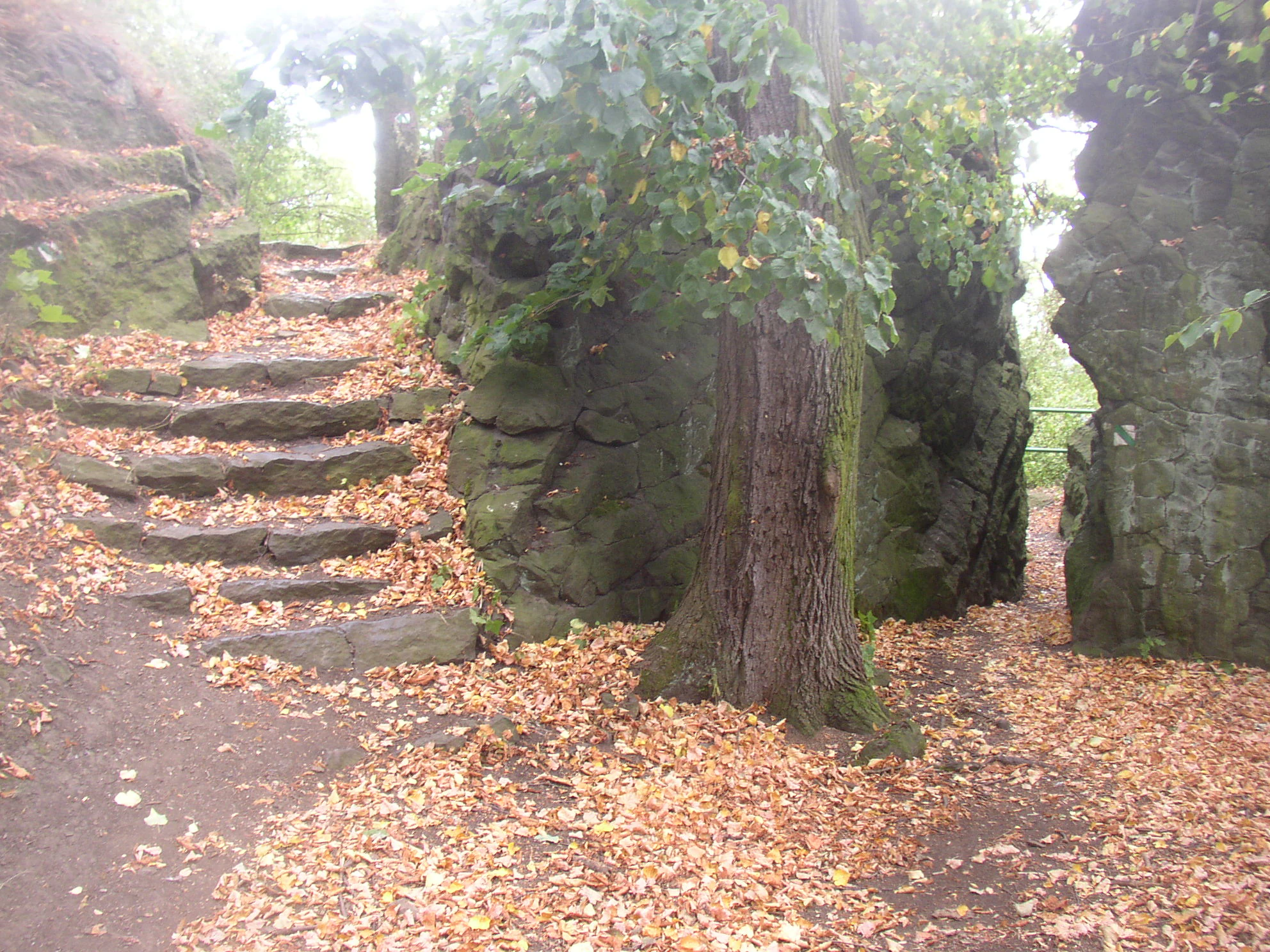 A path winds through a natural rock formation at Slánská hora, featuring stone steps covered in fallen autumn leaves.