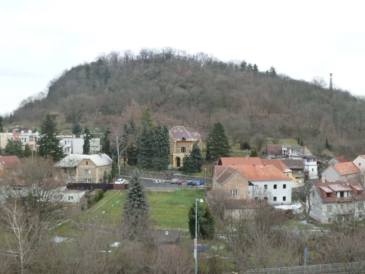 A medium shot of a tree-covered hill rising behind a residential area in the Czech Republic.