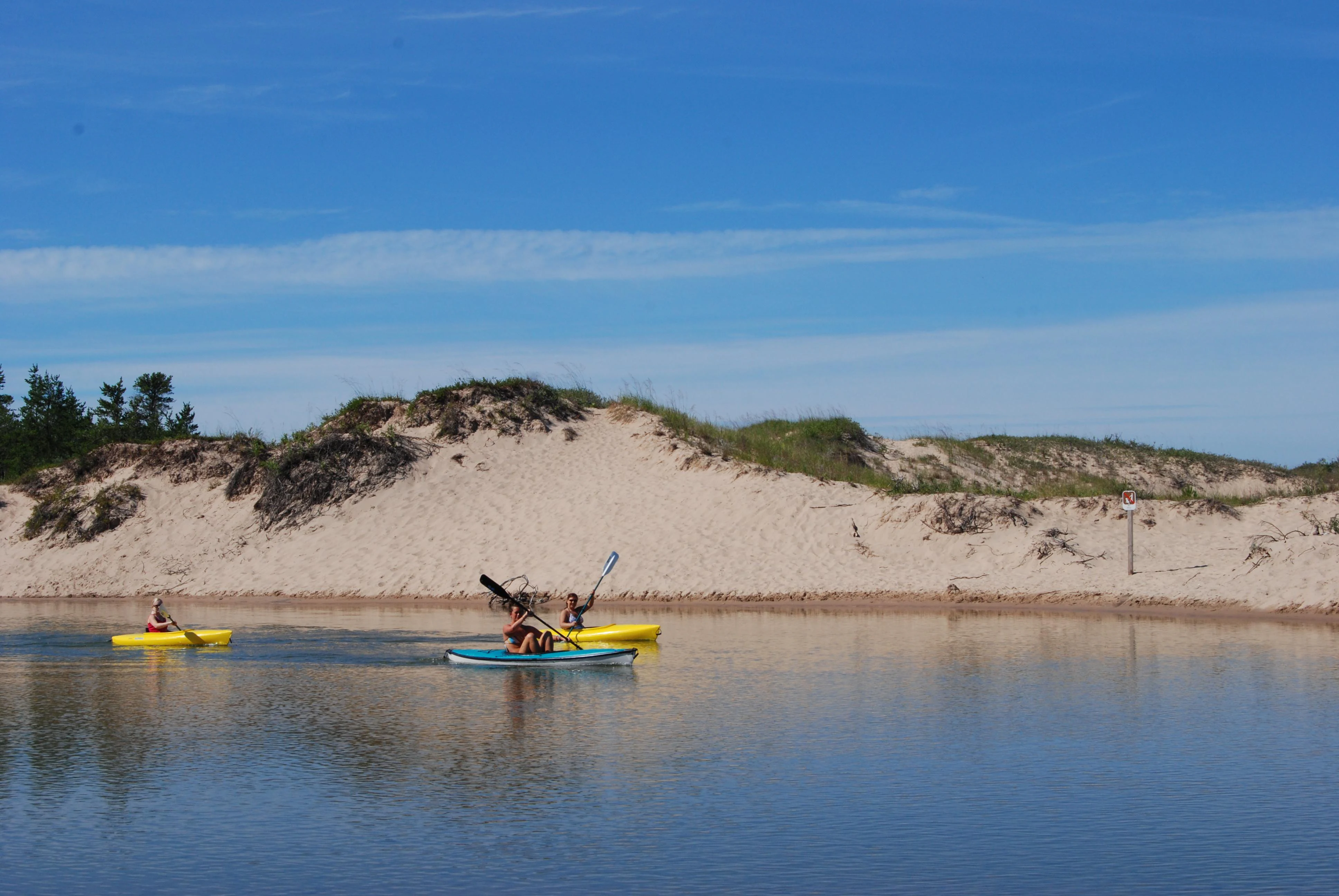 Two people paddling in yellow and blue kayaks on a calm river with a large sand dune and green vegetation along the bank in the background.