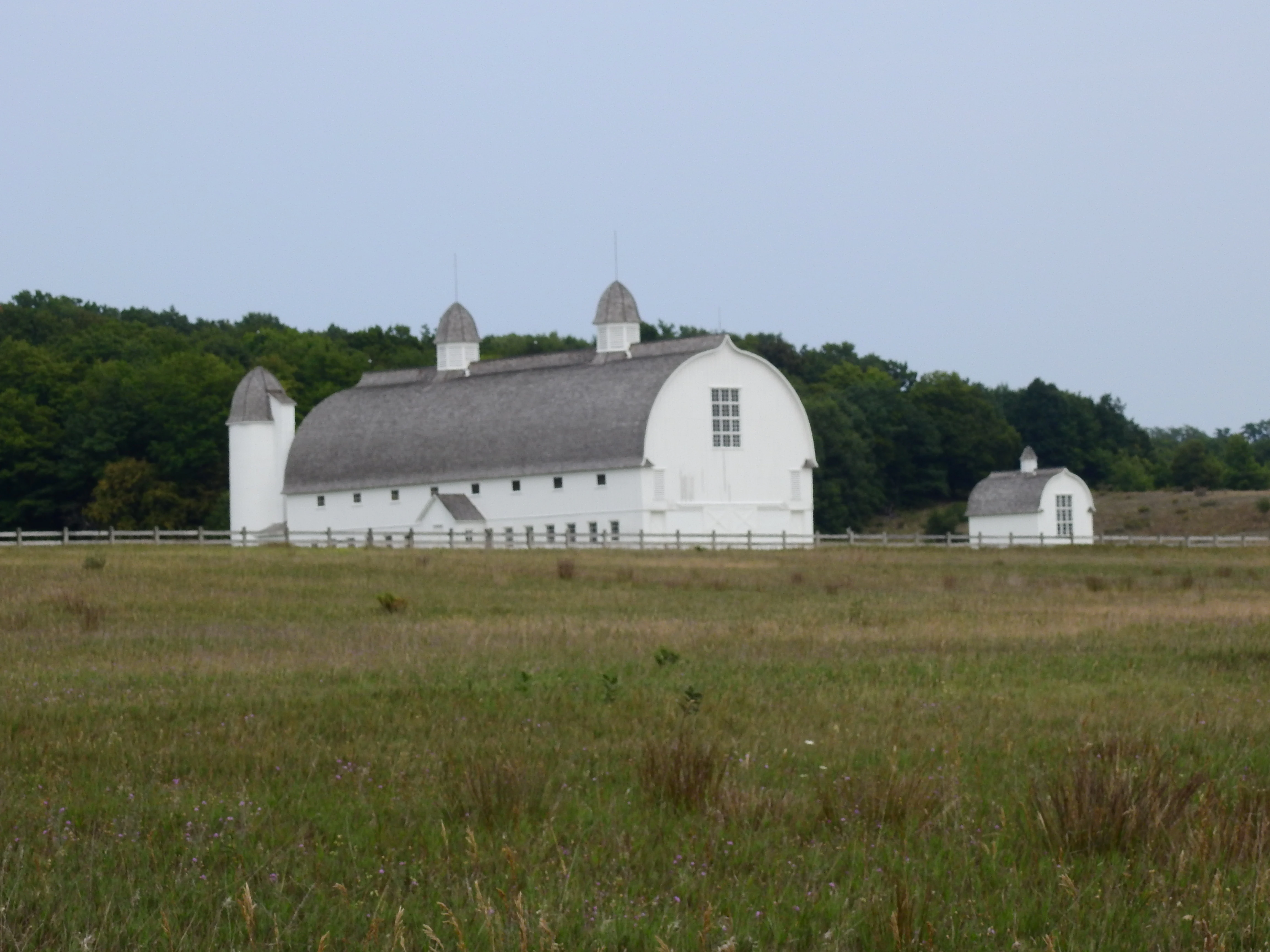 A large white barn with a gambrel roof and two cupolas, featuring an adjacent silo and a smaller structure, surrounded by a grassy field and a line of forest.