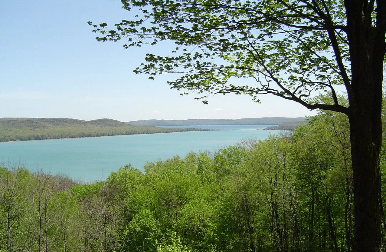 A wide, elevated view of a large turquoise lake surrounded by dense green forest and distant rolling hills, seen through the branches of a tree in the foreground.