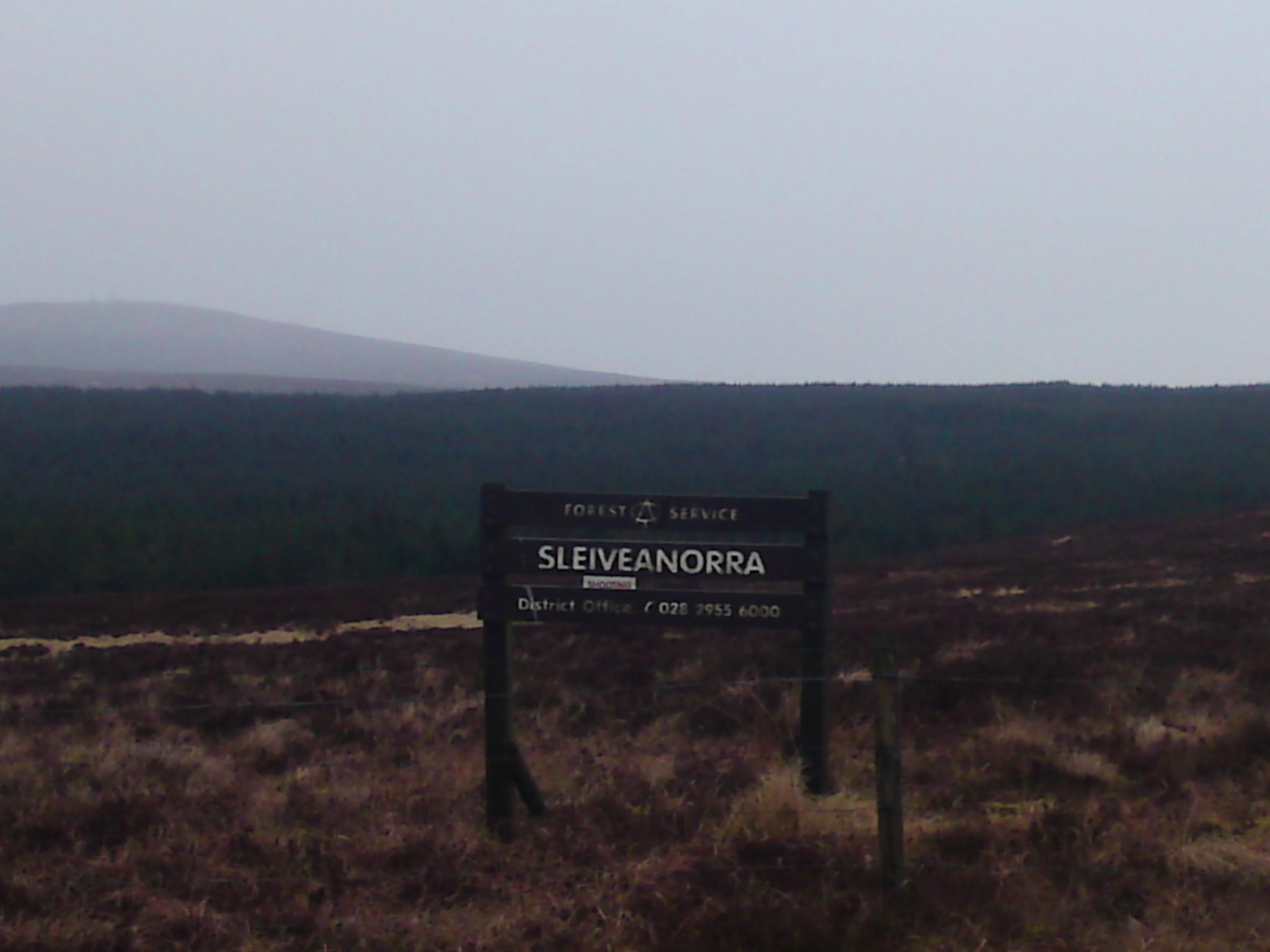Un letrero de madera con el nombre Slieveanorra se alza sobre un páramo cubierto de brezos, con un bosque oscuro de coníferas y una colina brumosa visibles en el fondo