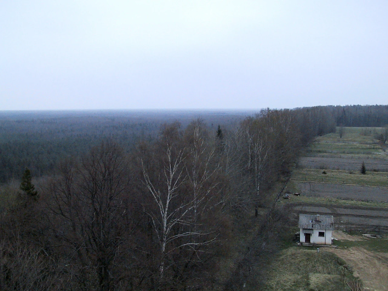 Wide landscape view of Slitere National Park showing mixed forest, open fields, and a small lighthouse structure under overcast sky