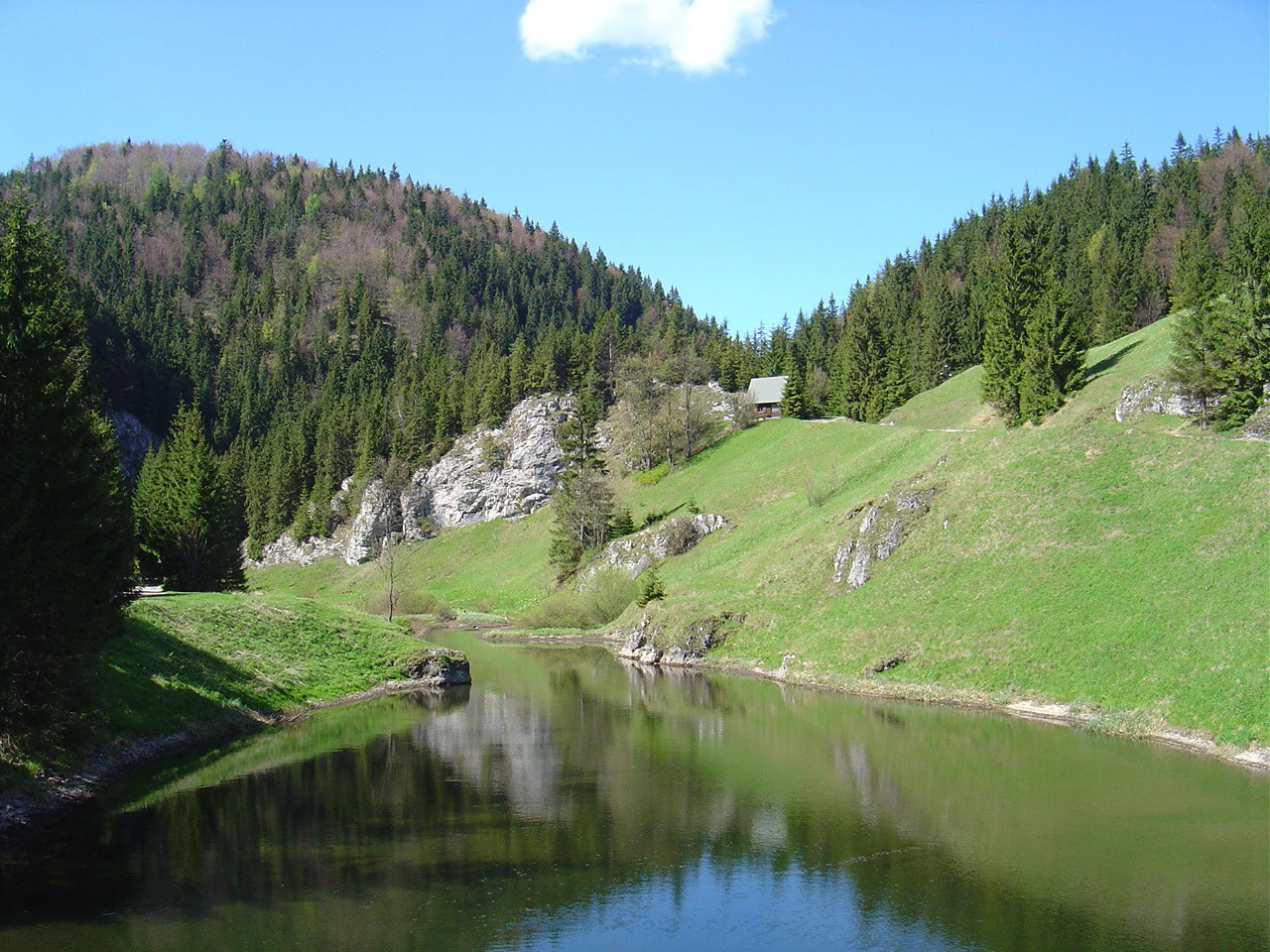 Calm river reflecting green hills and forested slopes under a clear blue sky with a small cabin visible on the hillside