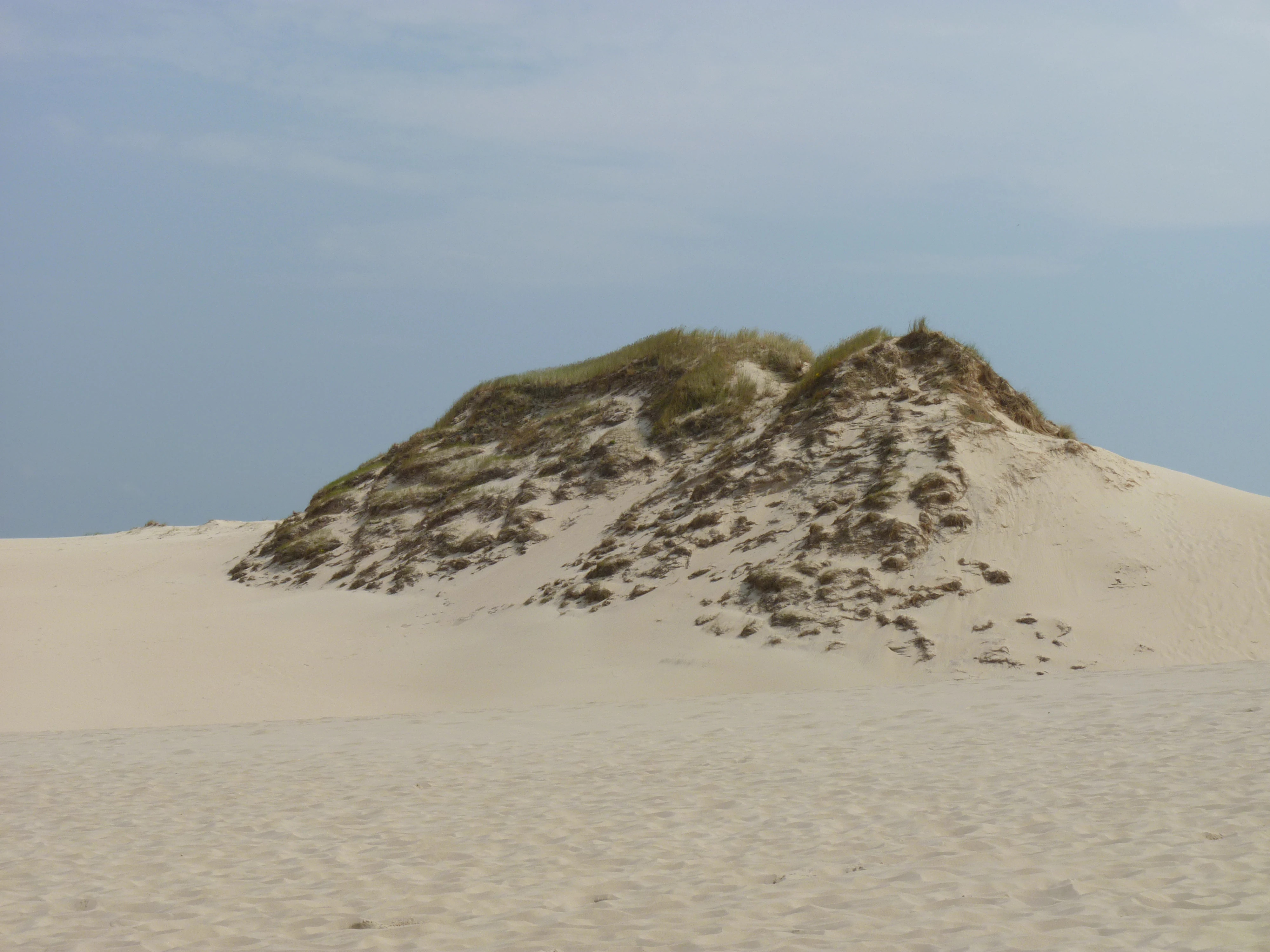 Sand dune with patches of vegetation under a clear sky in Slovincian National Park