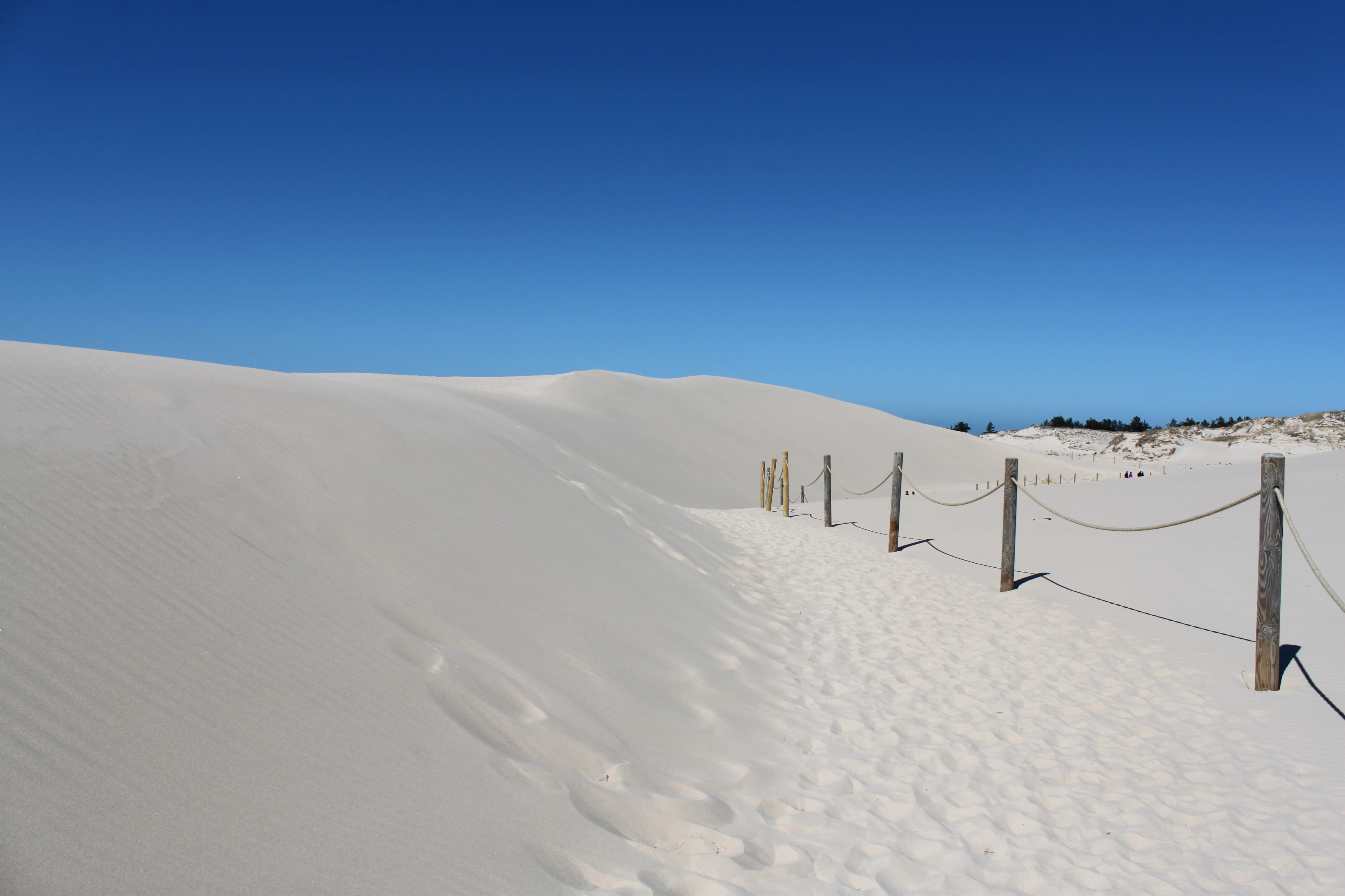 White sand dunes under a clear blue sky with a sandy path marked by wooden posts and ropes