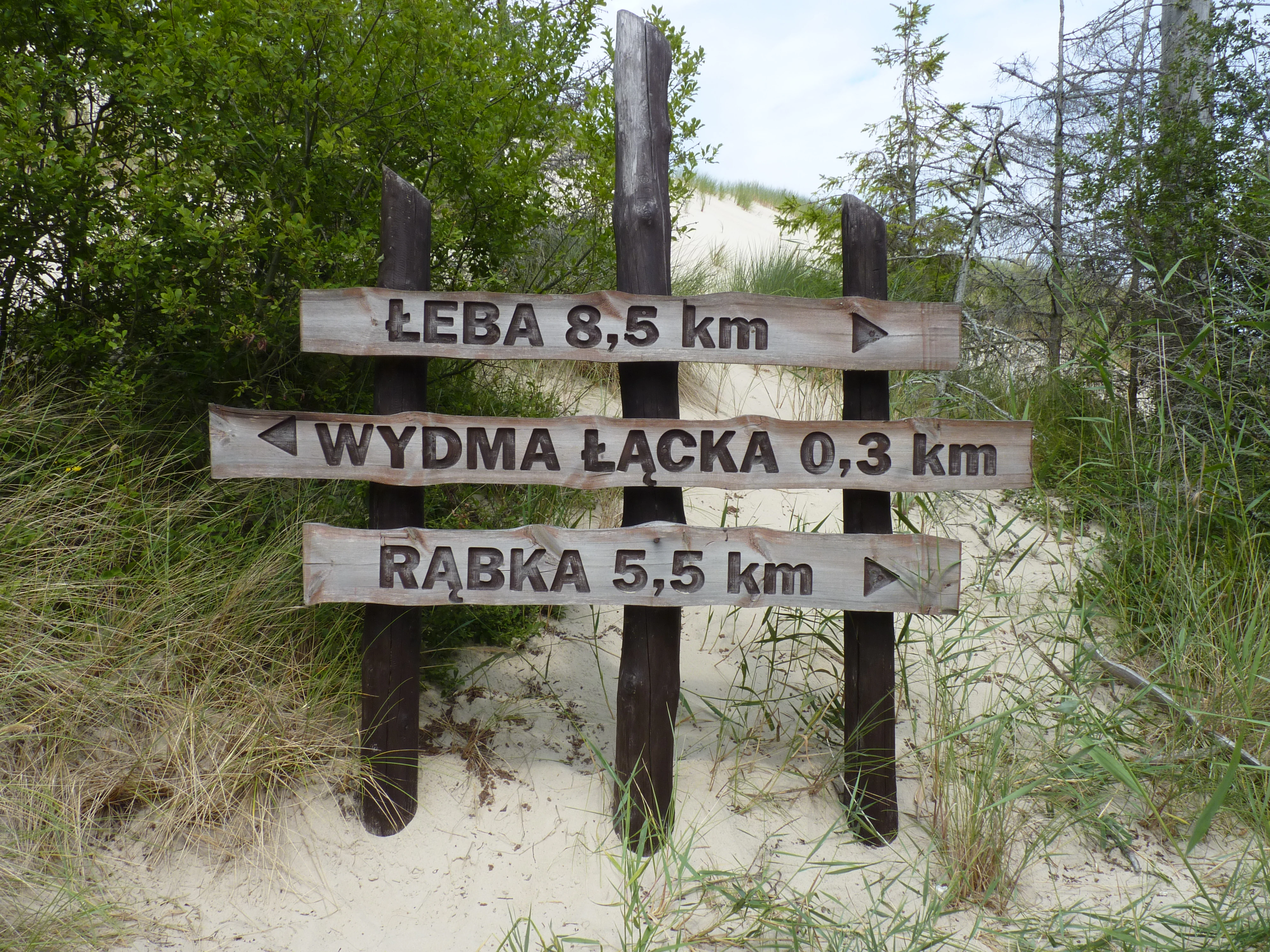 Wooden signpost with three directional signs showing distances to Leba (8.5 km), Wydma Łącka (0.3 km), and Rąbka (5.5 km) against a sandy dune background with grass and trees