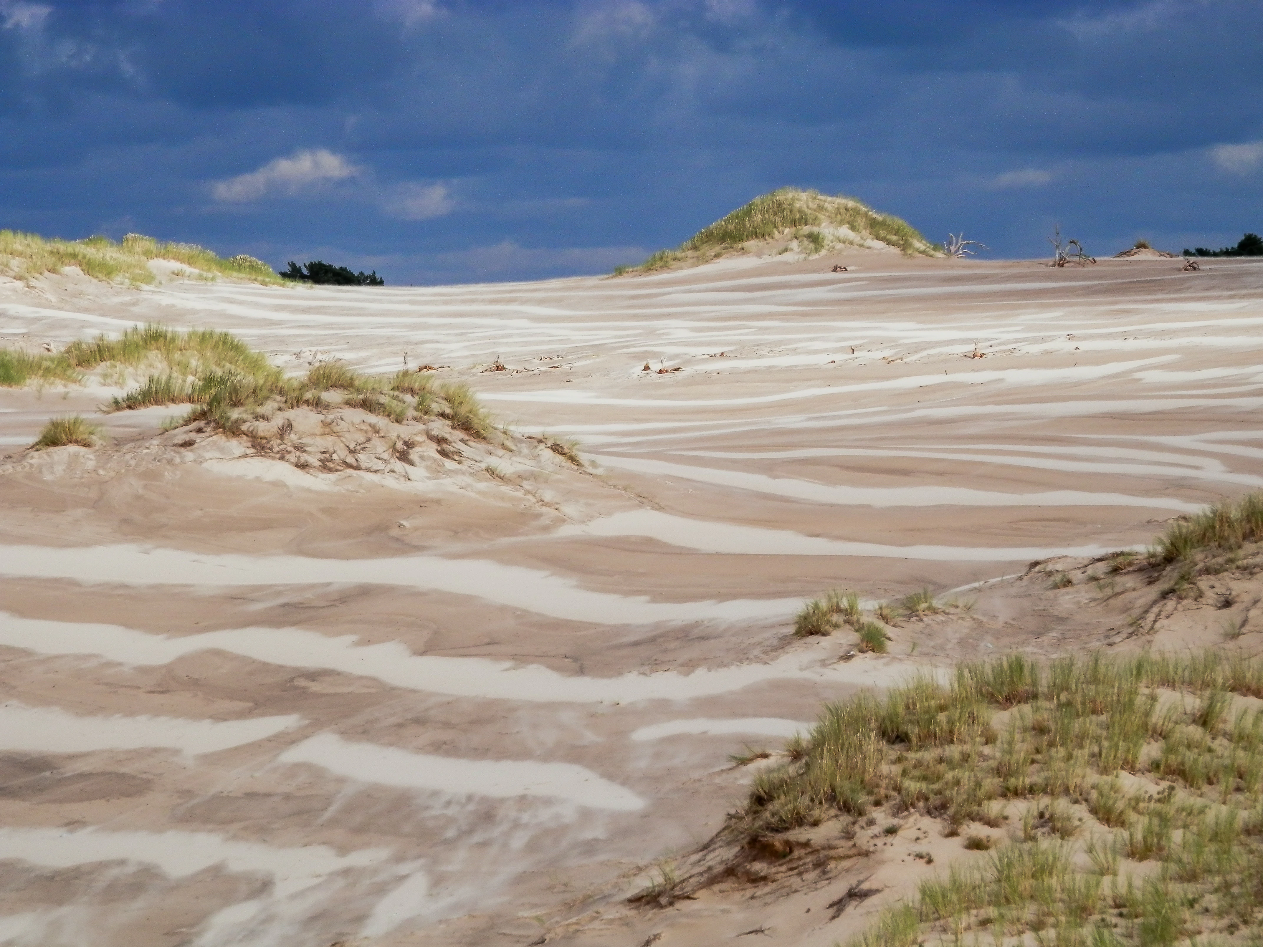 Extensive, rolling sand dunes with patches of dune grass under a dramatic, dark cloudy sky.