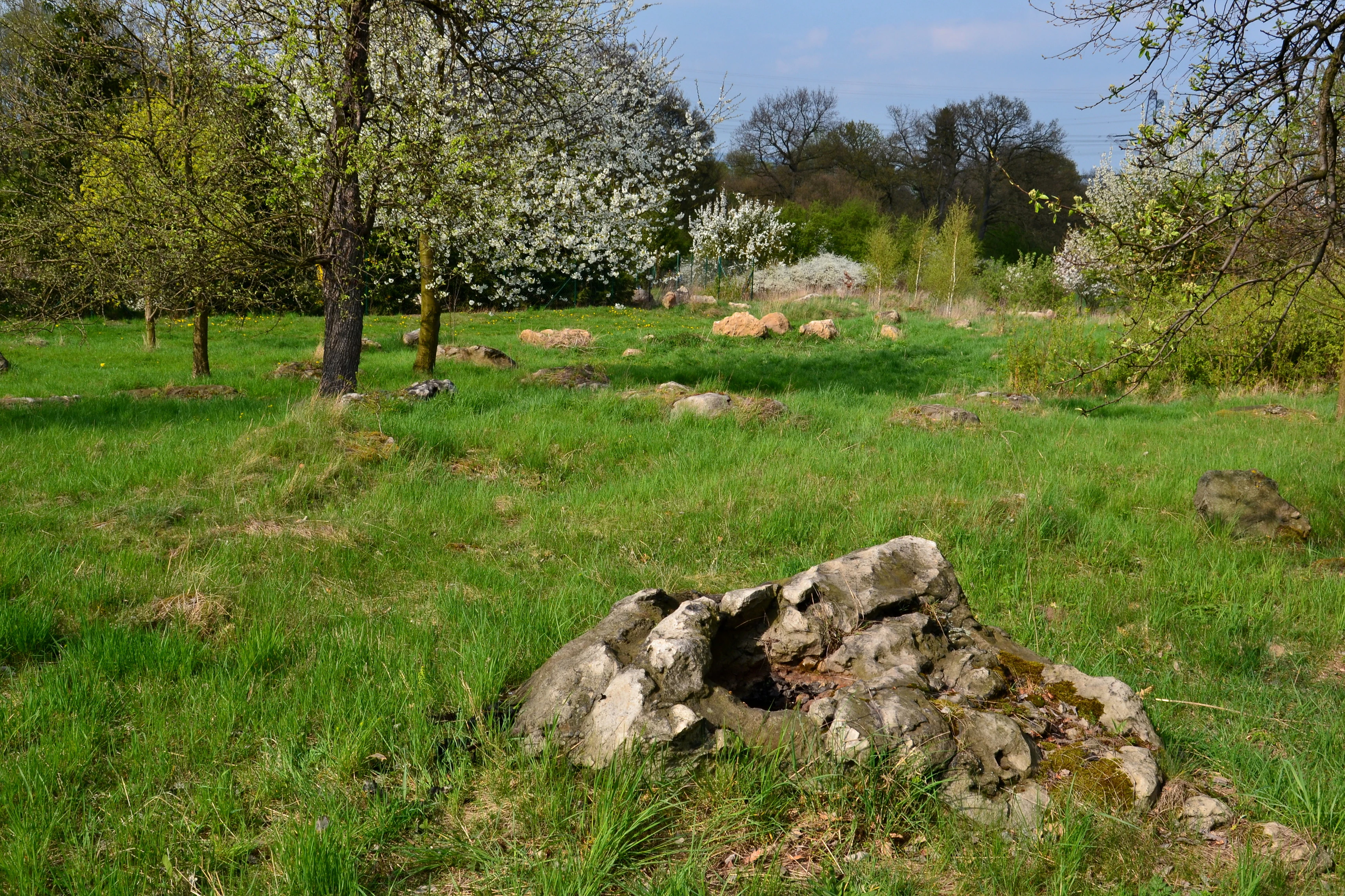 Slunaky Natural Monument