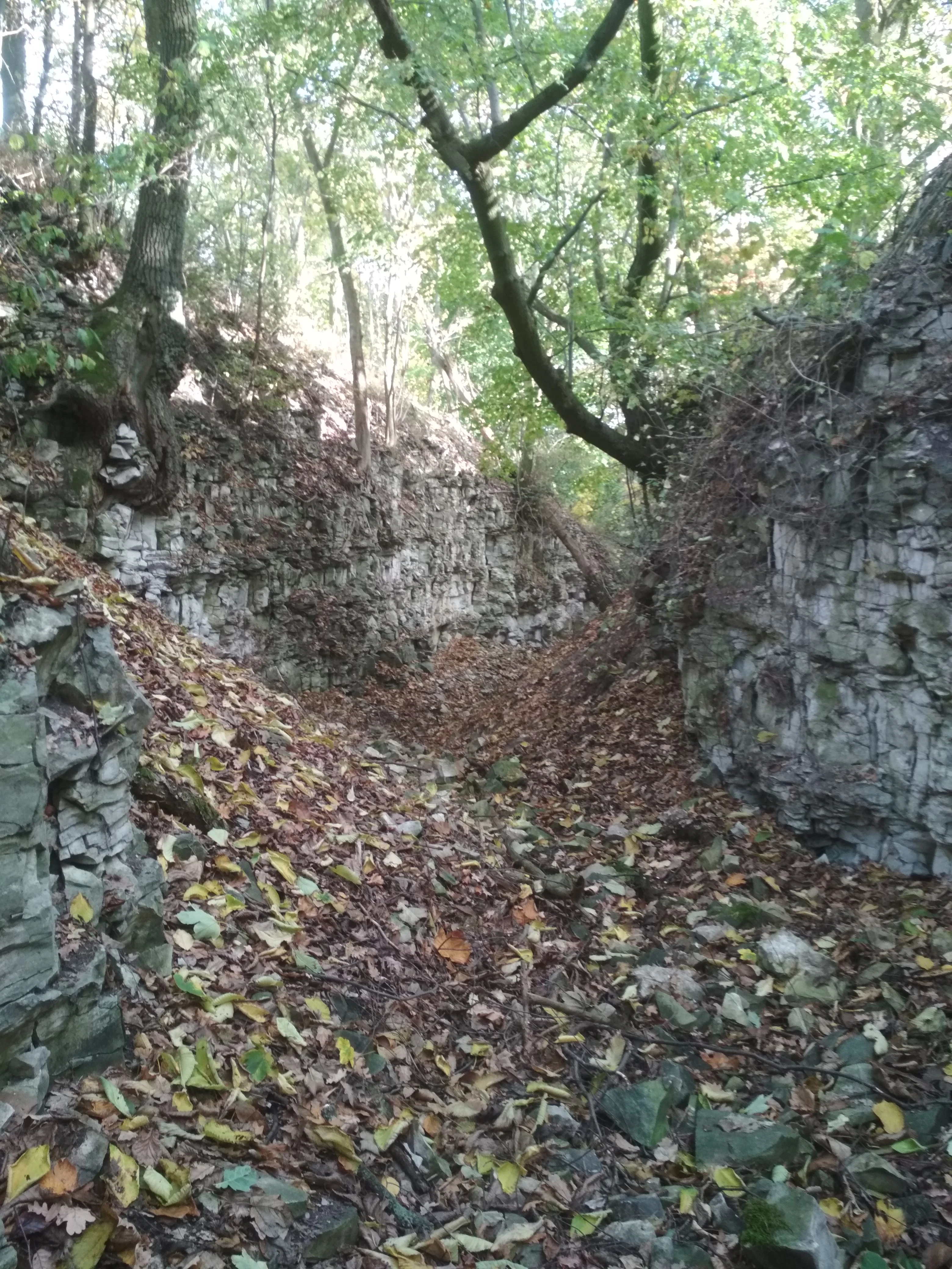 A narrow canyon path flanked by vertical, layered marlstone rock walls, covered with fallen autumn leaves and sheltered by overhanging deciduous trees.