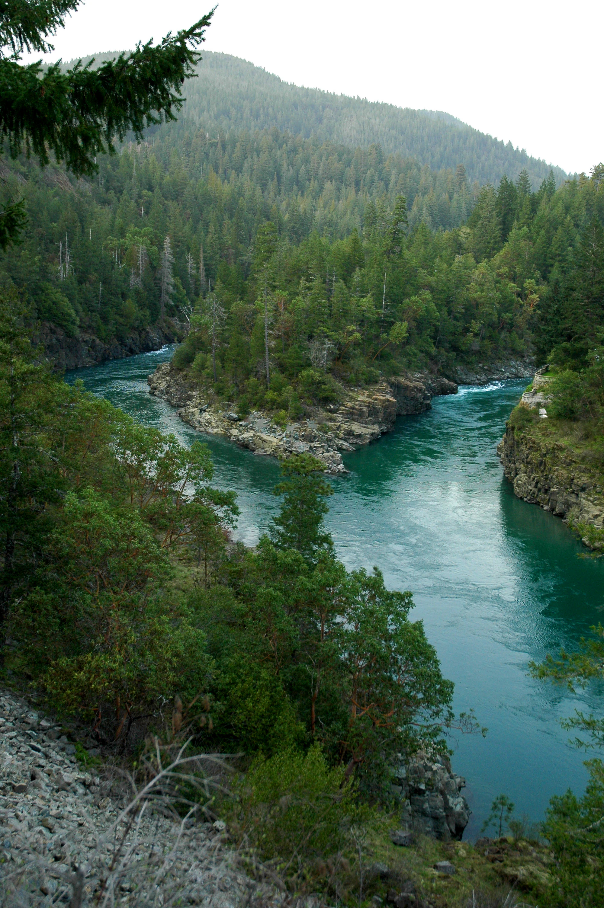 A high-angle view of a river confluence where two branches of a teal-colored river meet around a rocky, tree-covered point, surrounded by dense evergreen forest on hillsides.