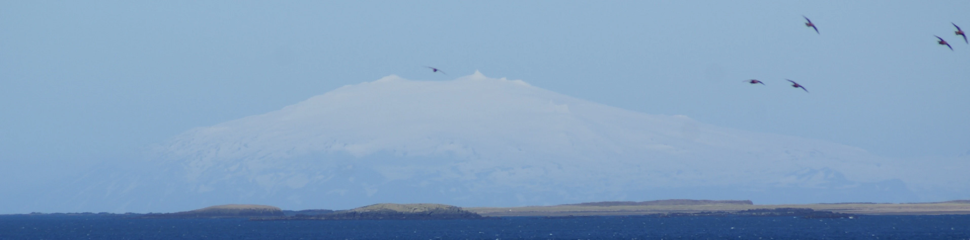 Snow-capped Snæfellsjökull Glacier mountain with blue water body and three birds flying in the sky