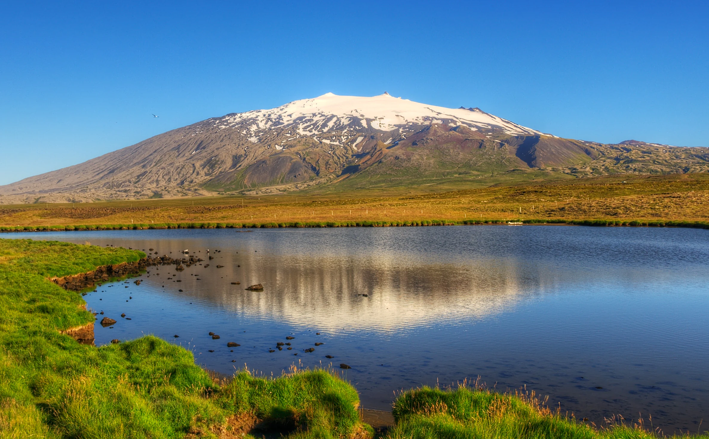 Snow-capped mountain reflected in a lake with green grassy shoreline under a clear blue sky