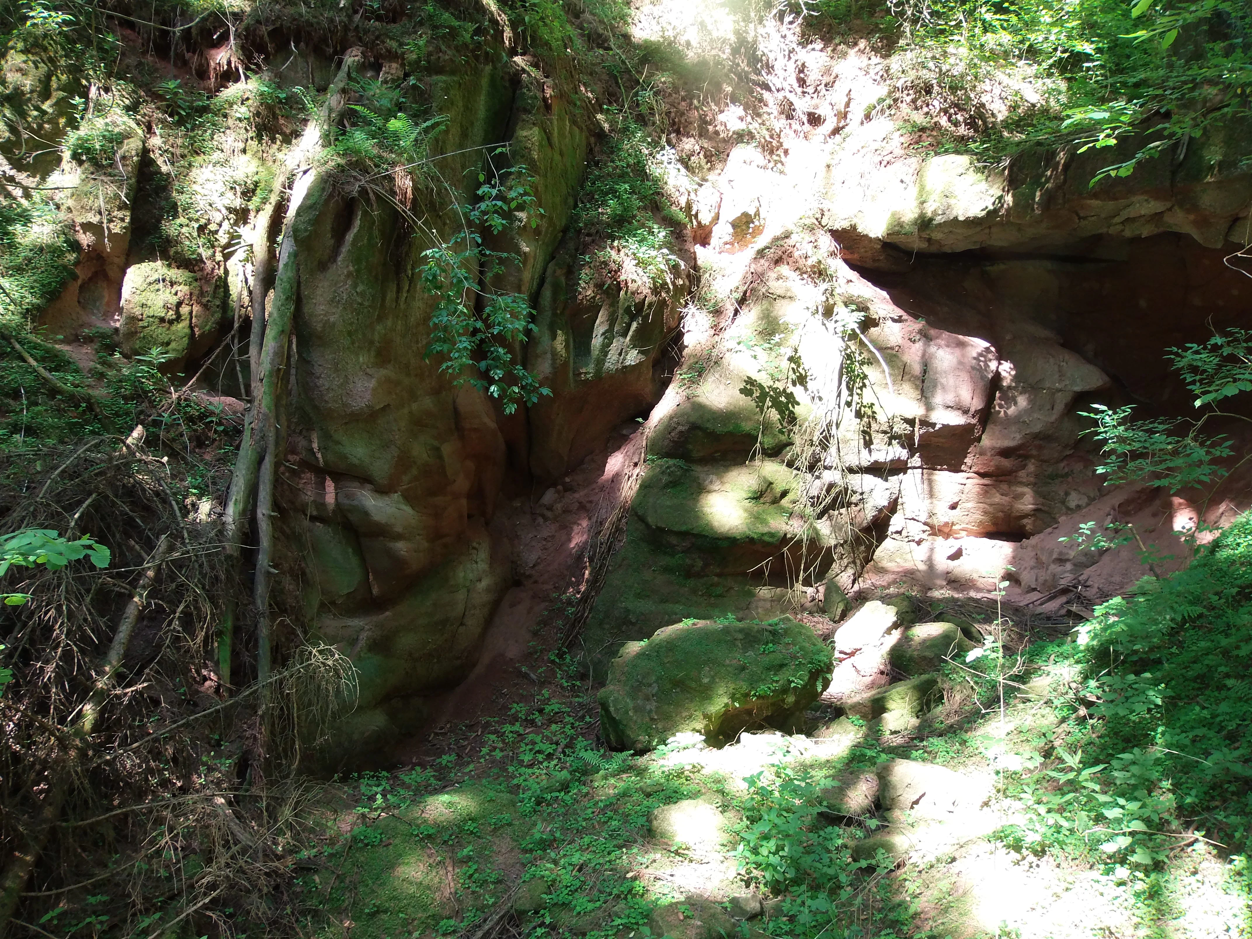 A steep, moss-covered sandstone rock formation located in a wooded ravine, dappled with sunlight filtering through the trees.