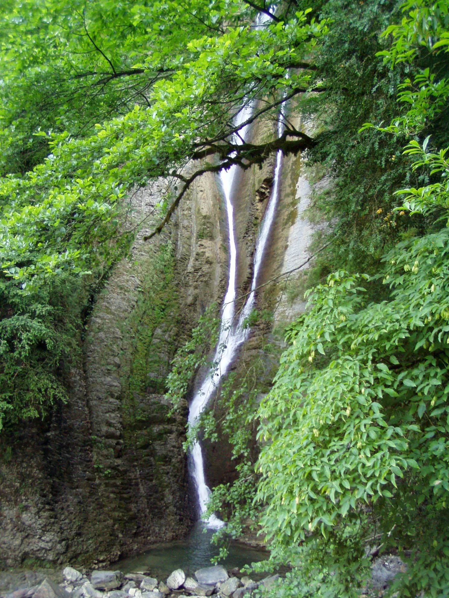 Una cascada alta y esbelta que se precipita por una pared rocosa escarpada y texturizada, rodeada de densos árboles caducifolios.