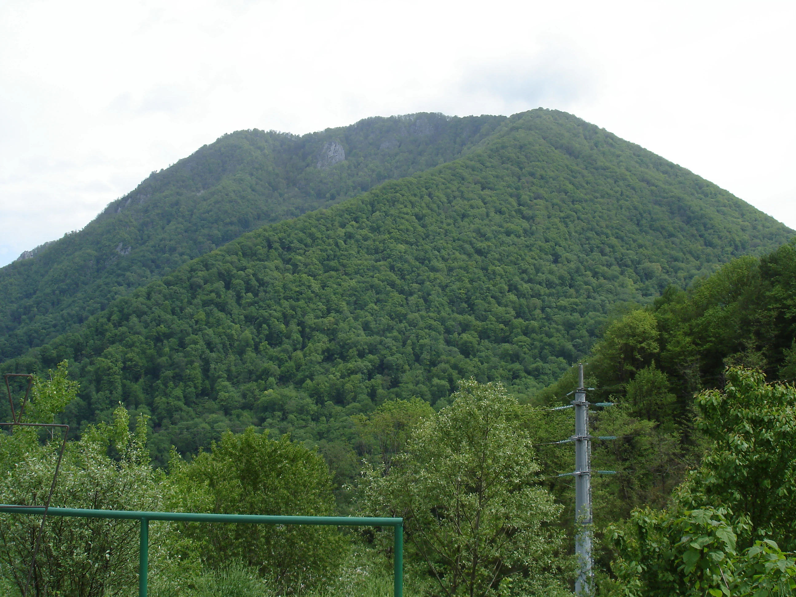 Una cumbre montañosa cubierta de bosque verde se eleva contra un cielo nublado, con una torre de tendido eléctrico en primer plano inferior derecho.