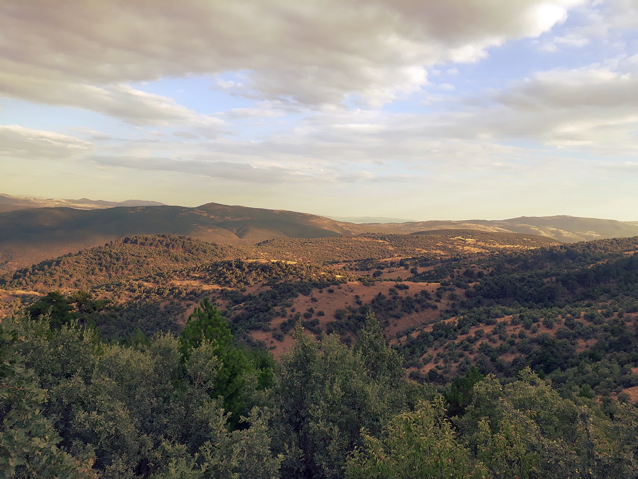 Rolling hills and forested valleys under a partly cloudy sky in Soğuksu National Park