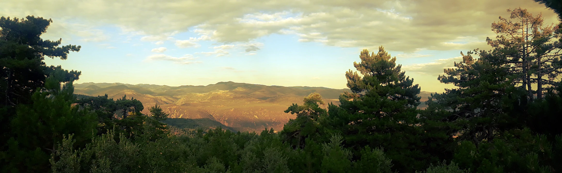 Panoramic landscape of Soğuksu National Park showing dense forest in the foreground, rolling hills in the midground, and a partly cloudy sky