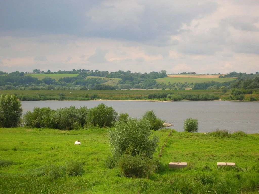 A wide view of the Vistula River with green meadows in the foreground and rolling agricultural fields in the background under a cloudy sky.