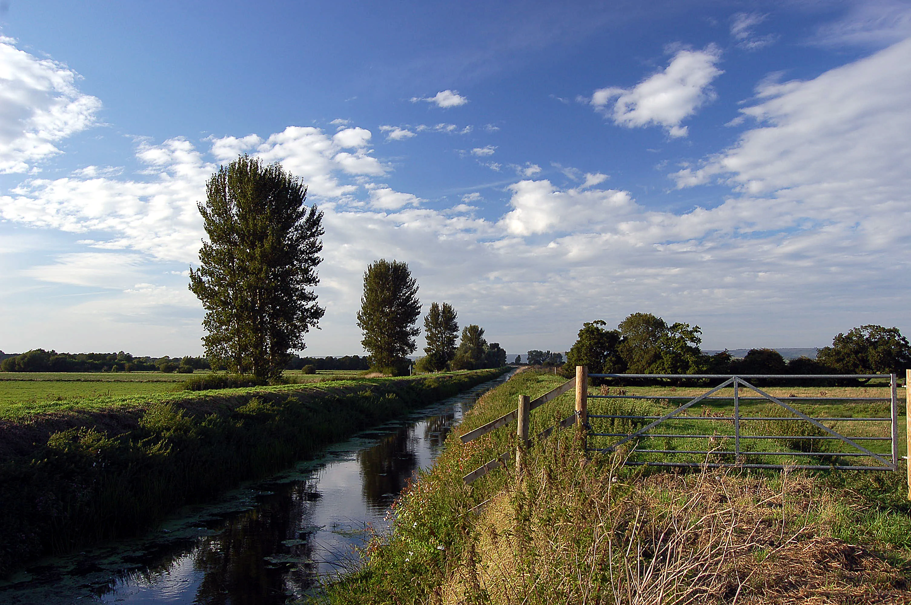 Un río estrecho que fluye a través de verdes praderas planas, bordeado de árboles altos y una verja metálica en la orilla derecha bajo un cielo azul.