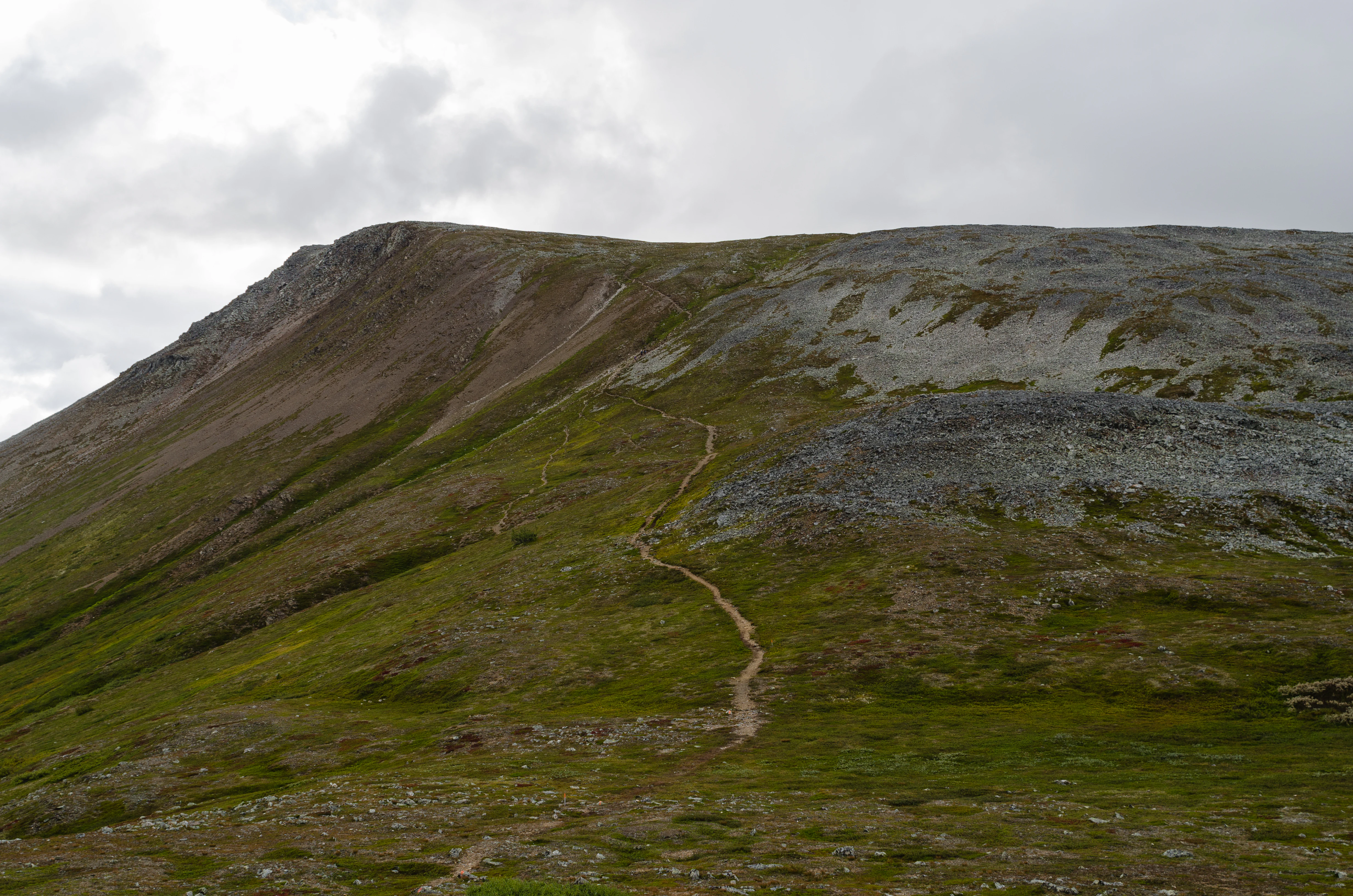 Mountain summit with a trail winding through grassy and rocky terrain under a cloudy sky