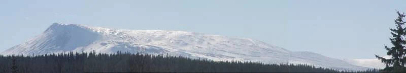 Snow-capped mountain with forested foreground under clear sky