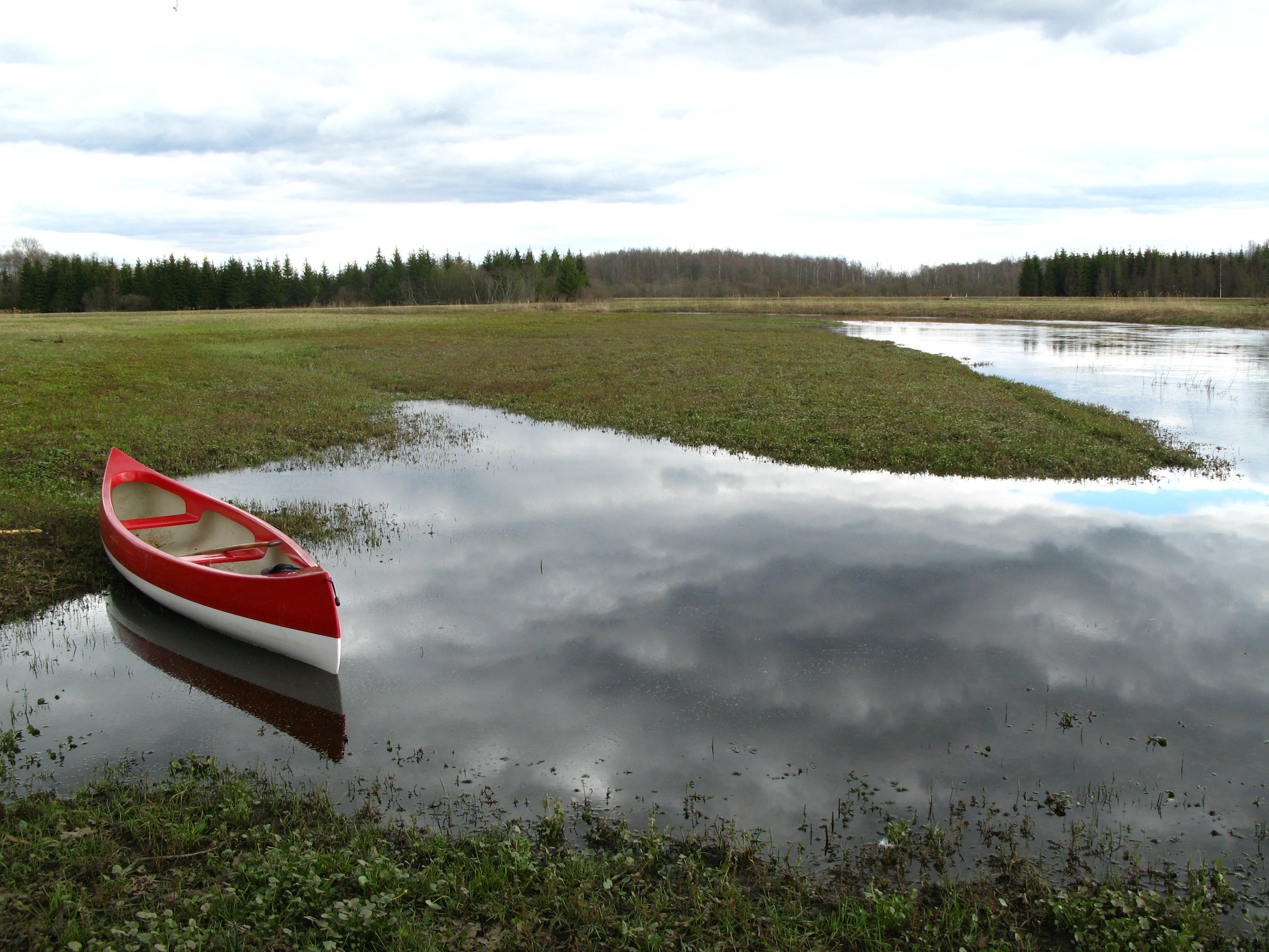 Red canoe resting on a calm river with grassy banks and forest in the background under overcast sky.