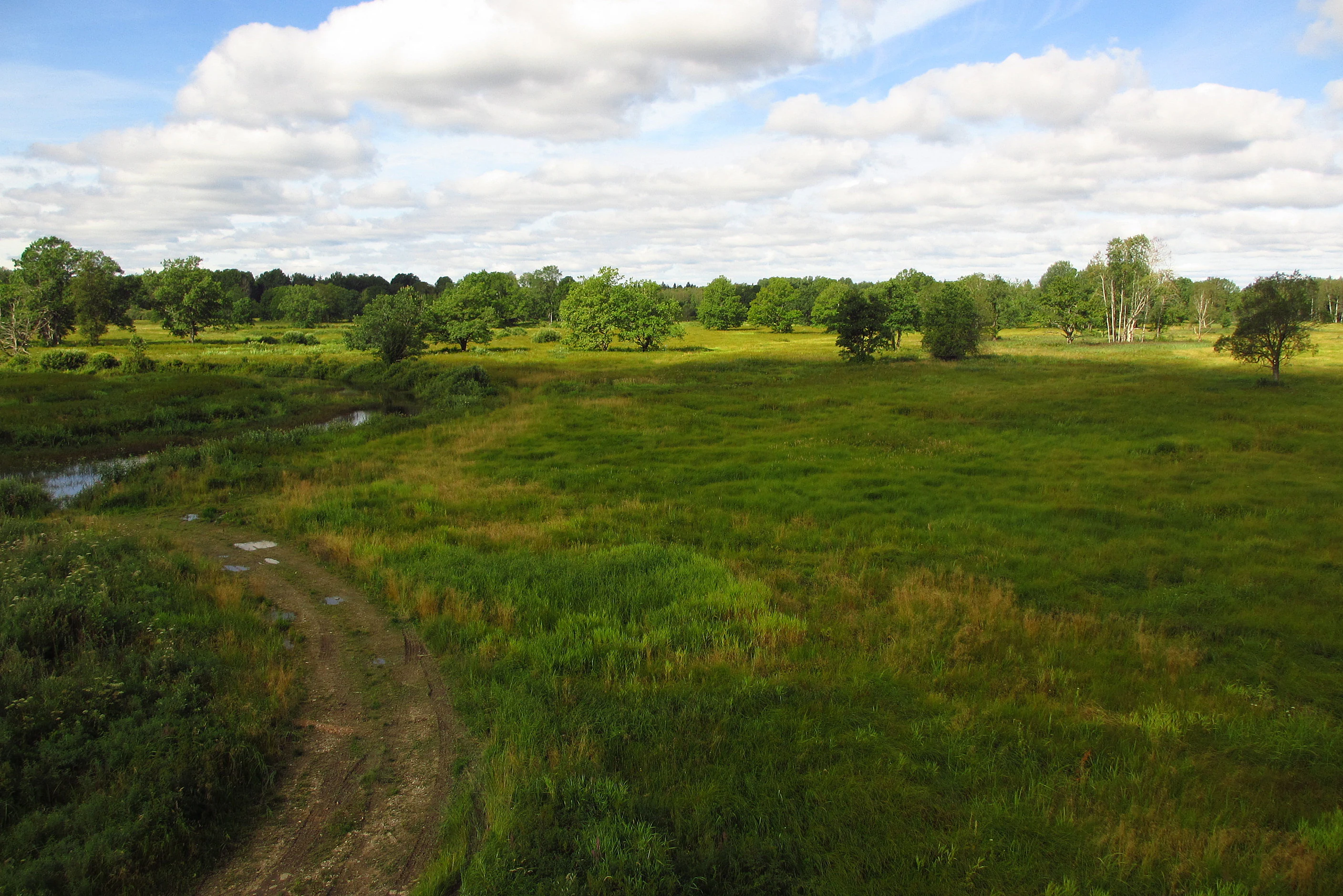 A wide grassy meadow with a dirt path winding through it, a small water channel on the left, scattered trees in the distance, and a partly cloudy sky