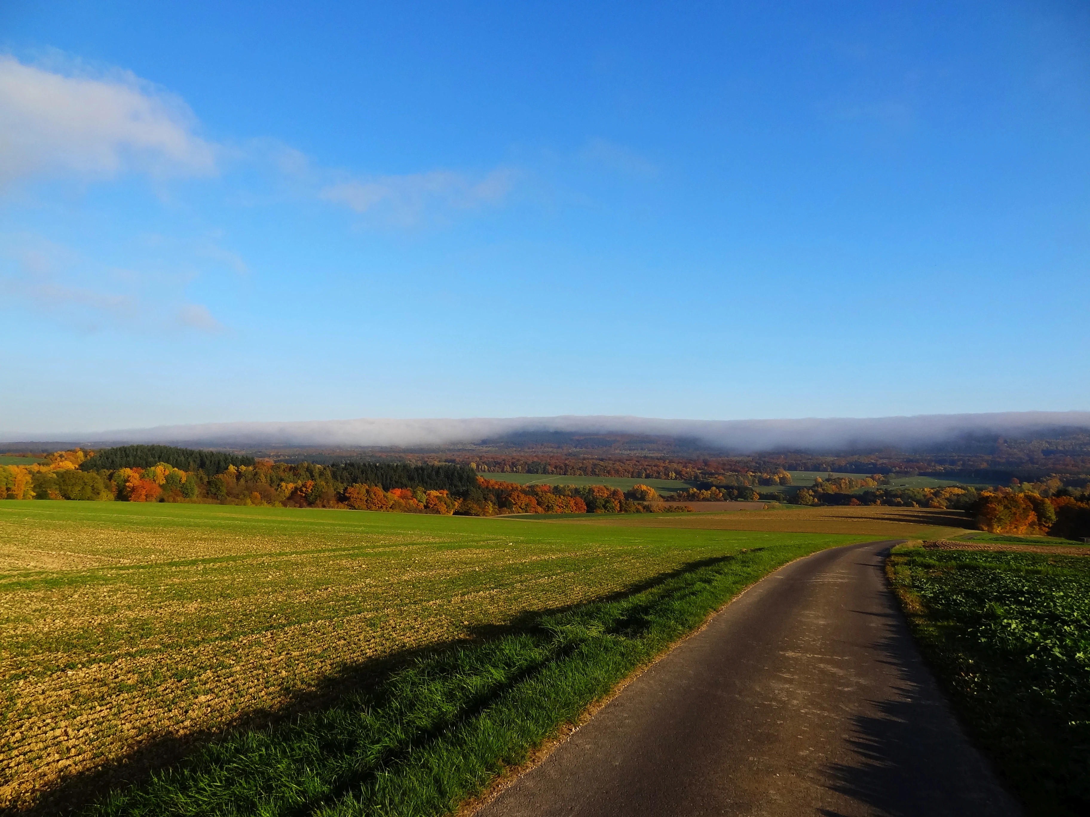 A paved path cuts through green and agricultural fields in the foreground, leading toward a distant line of forested hills capped with a low, horizontal bank of fog against a clear blue sky.
