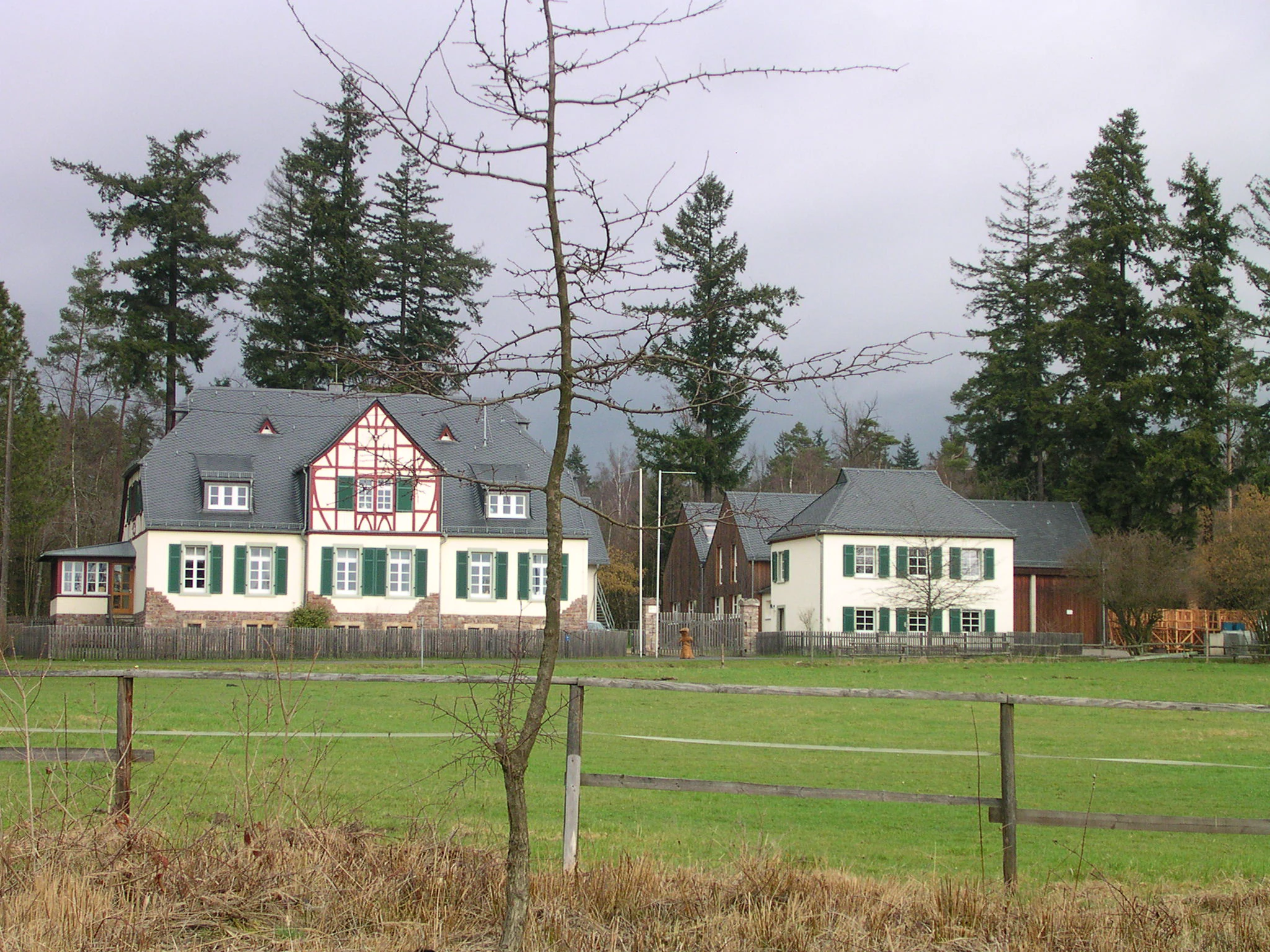 A traditional German forestry house with half-timbered accents and green shutters, surrounded by a green meadow and coniferous forest.