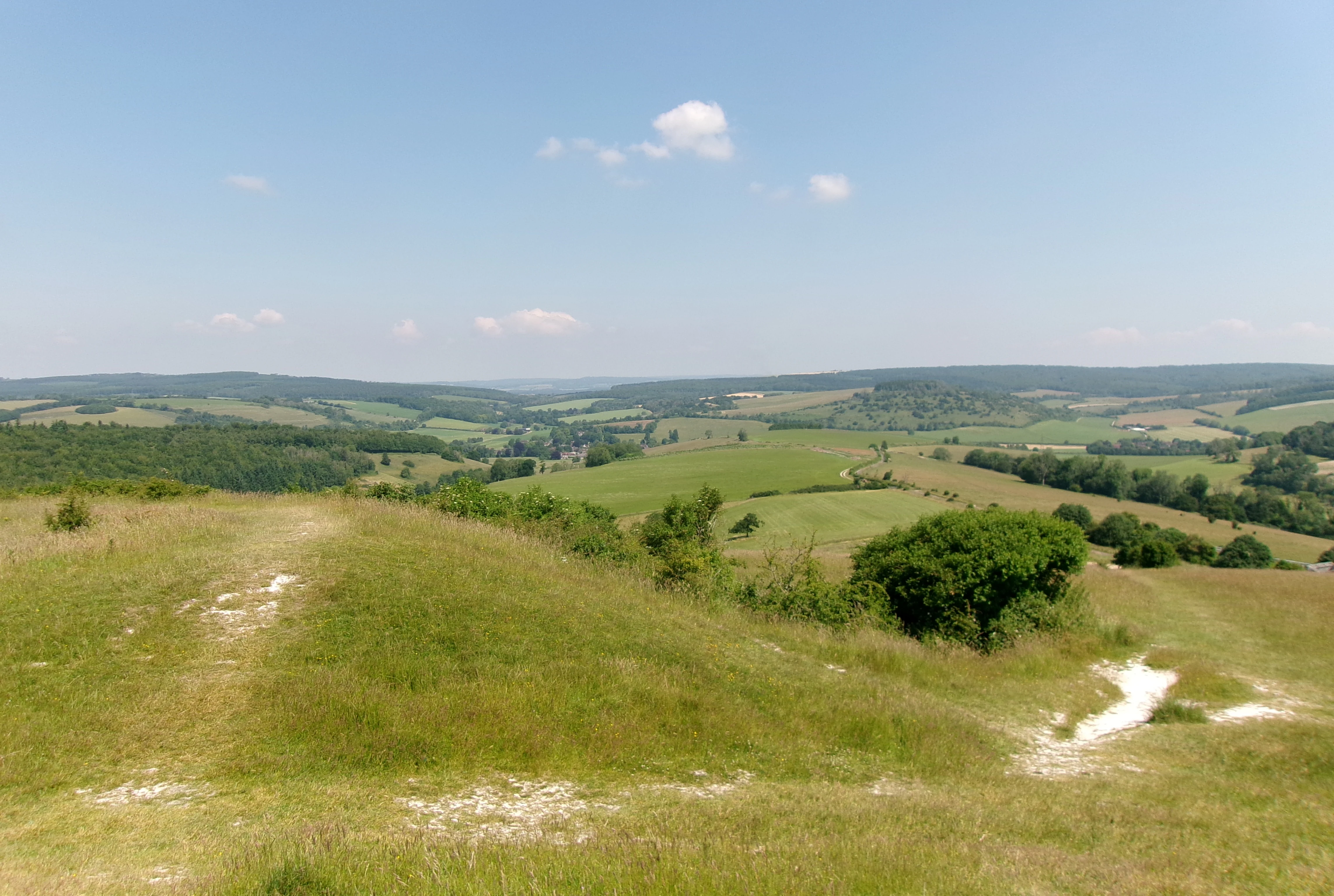 Grassy hillside with dirt path leading to wide view of rolling green fields, distant hills, and scattered trees under clear blue sky.