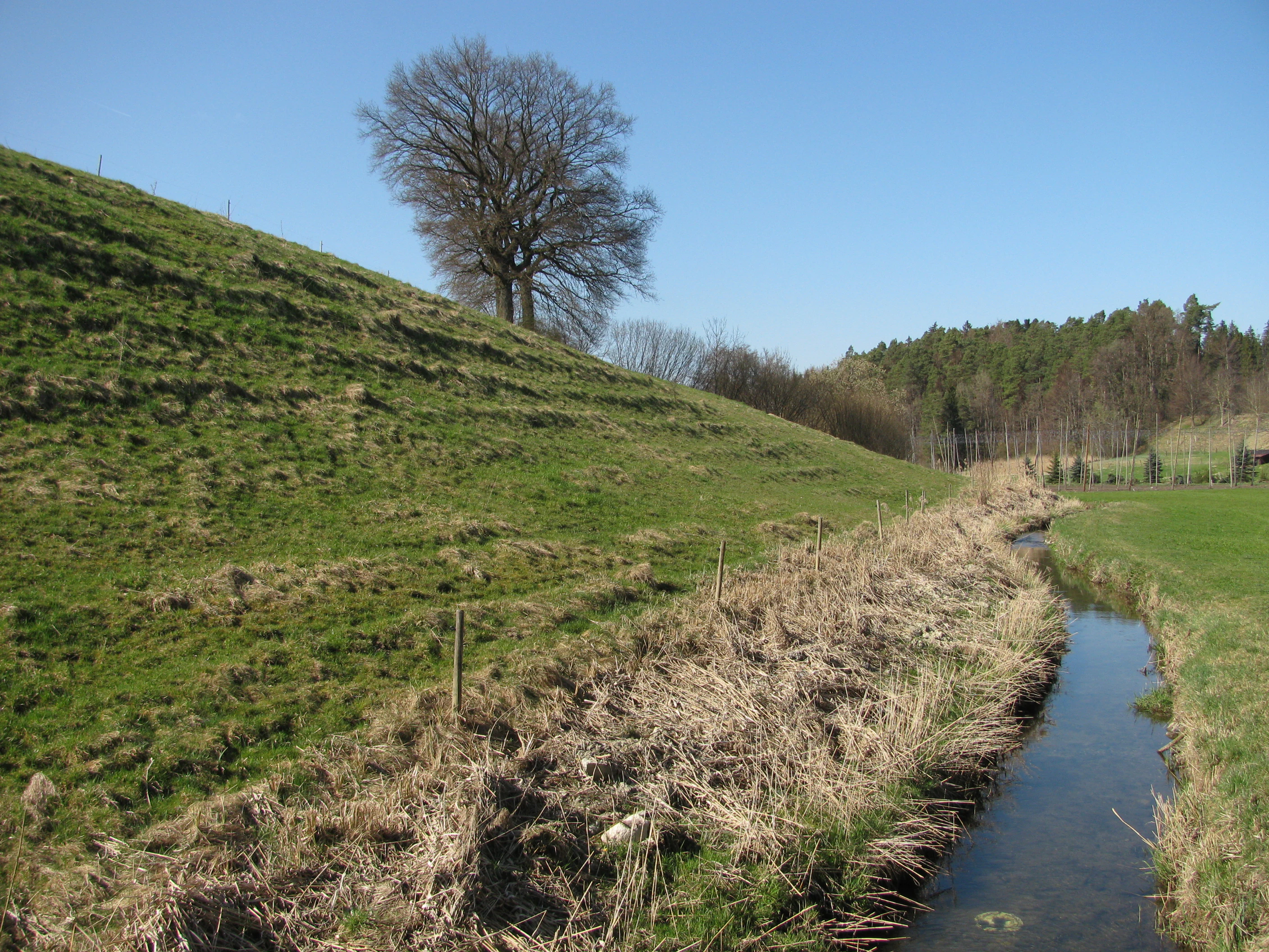 A green, grassy, terraced hillside slopes down toward a small, narrow stream in a rural German landscape under a clear blue sky.