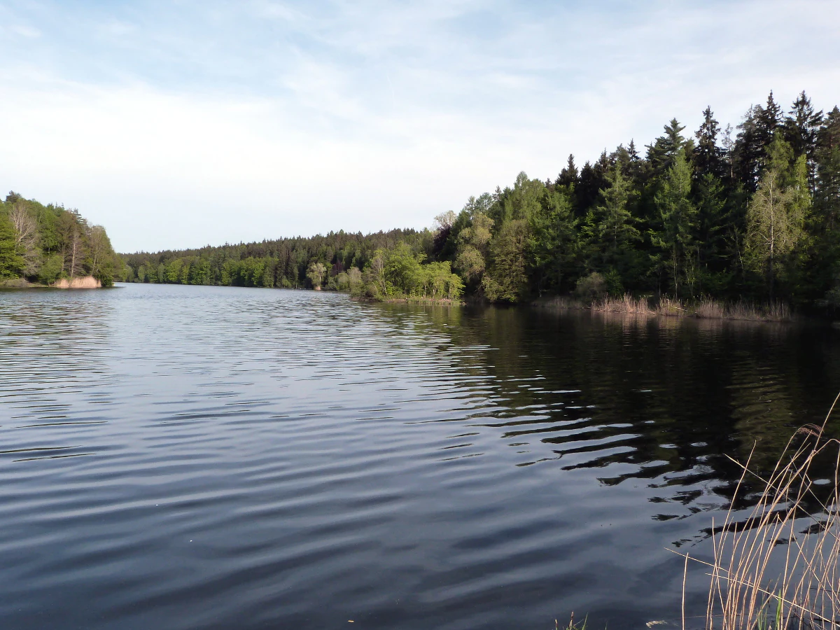 A wide angle view of a dark, rippled reservoir surrounded by lush green forests under a light sky.