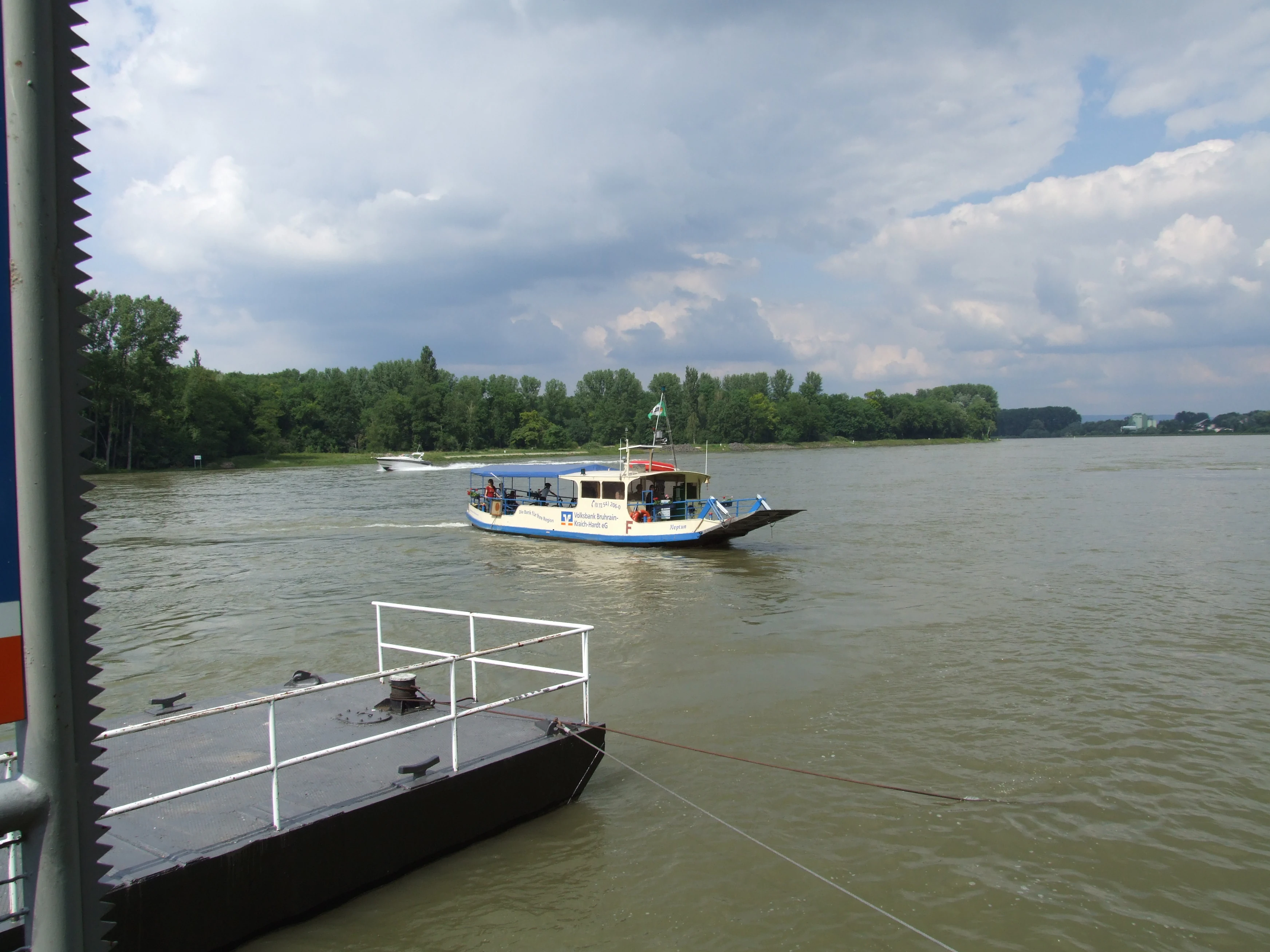 A passenger ferry boat navigating the Rhine River with a dense green forest lining the far bank under a cloudy sky.