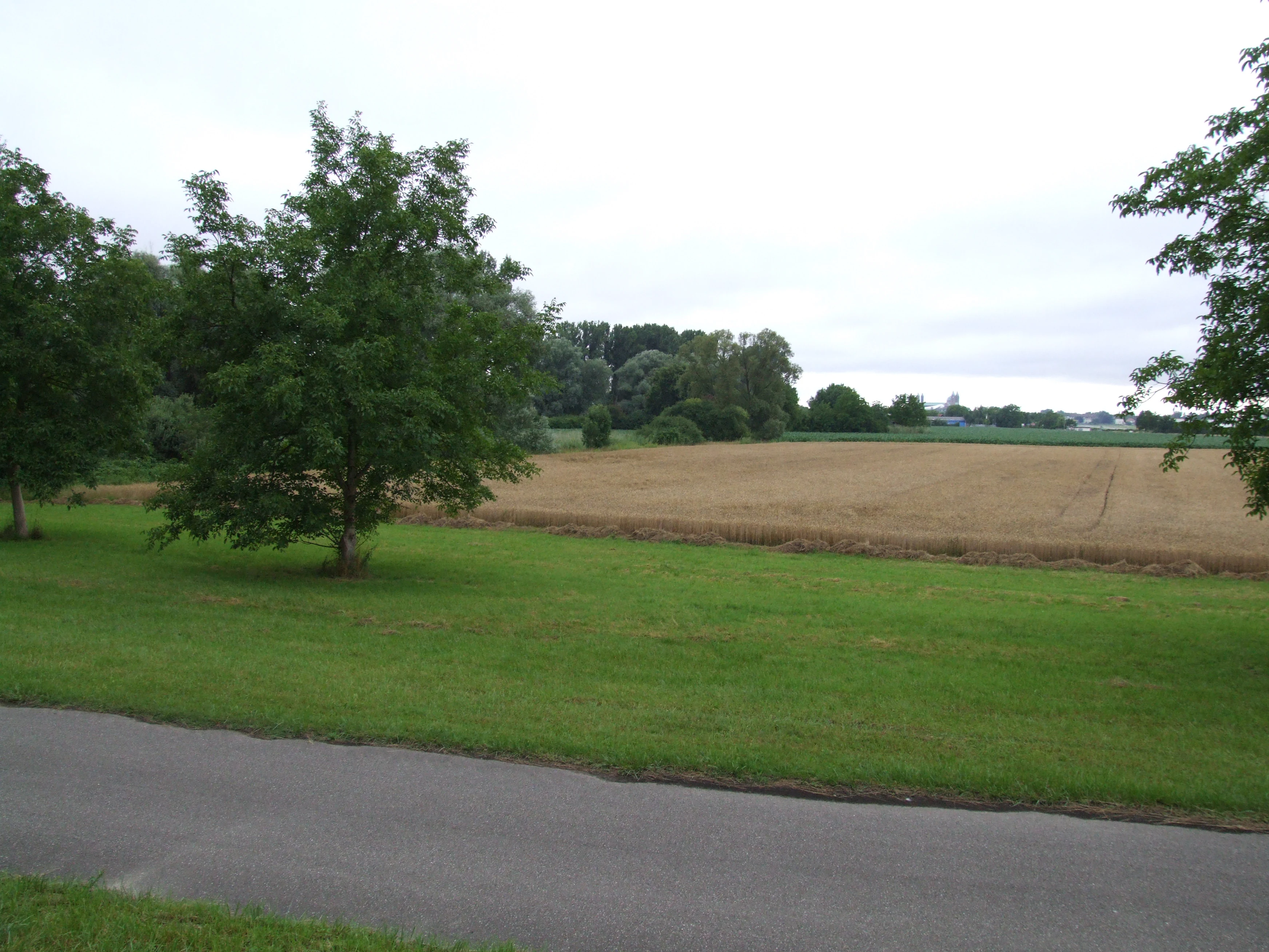 A paved path runs along the bottom foreground next to a grassy field with scattered trees, leading toward a cultivated wheat field in the midground and dense woodland in the background under an overcast sky.