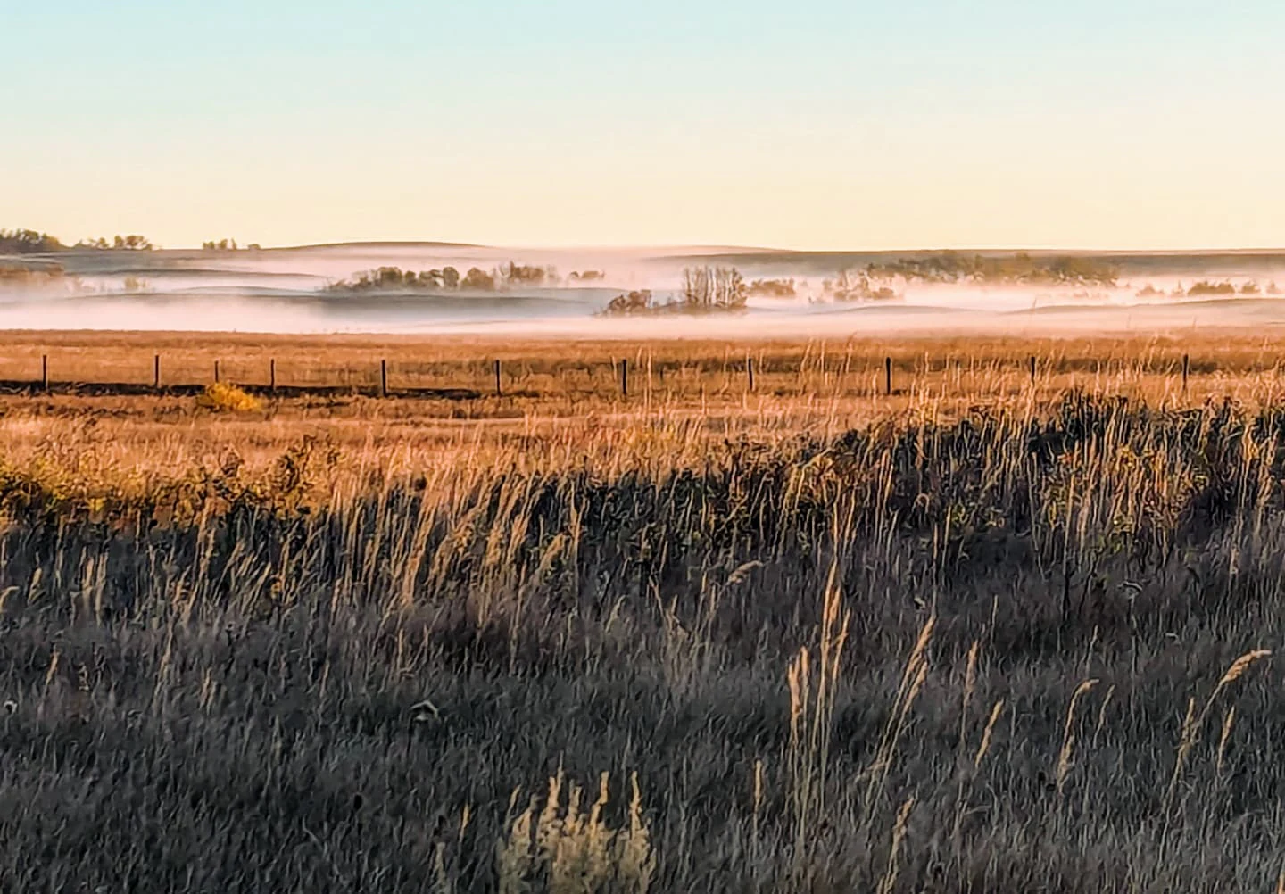 A wide, golden-hour view of open grasslands with a light layer of morning mist settling over rolling terrain, featuring a wire fence stretching across the midground.