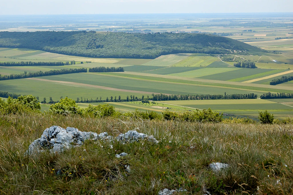 Un punto elevado con vistas a un mosaico de campos agrícolas verdes y amarillos, con una cresta boscosa al fondo y un terreno rocoso y herboso en primer plano inmediato.