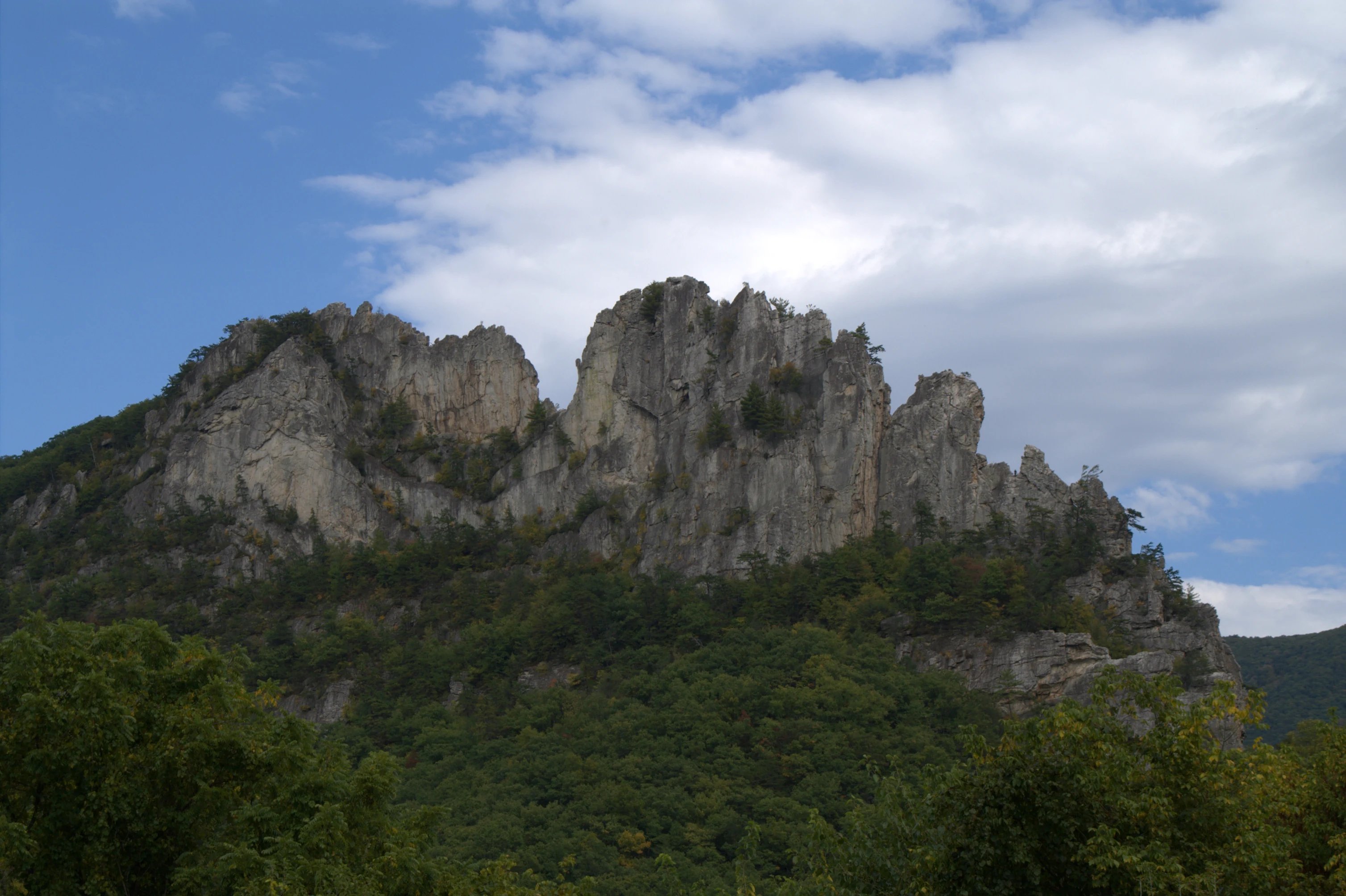 A jagged, light-colored rock formation stands against a blue sky with white clouds, above a dense green forest.